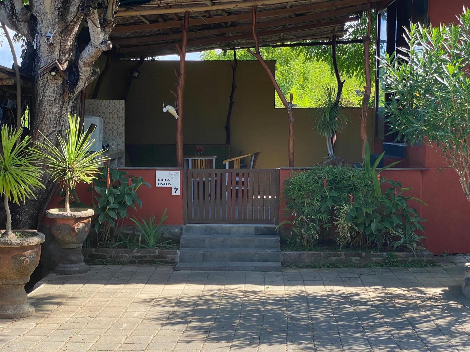 Anjing 2 Taman liburan Nusa Dua (Bali)