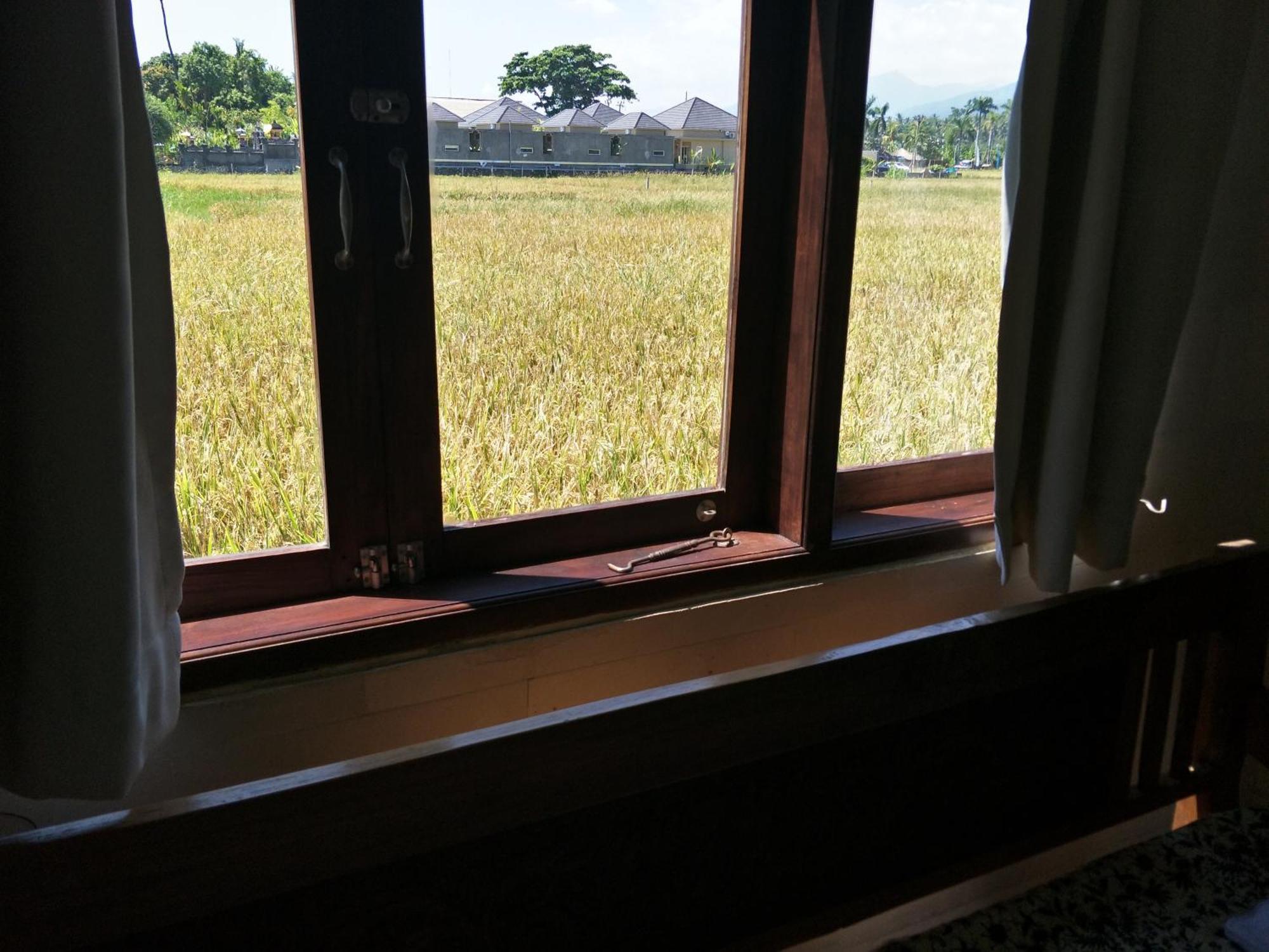 Frangipani Guest house 3*