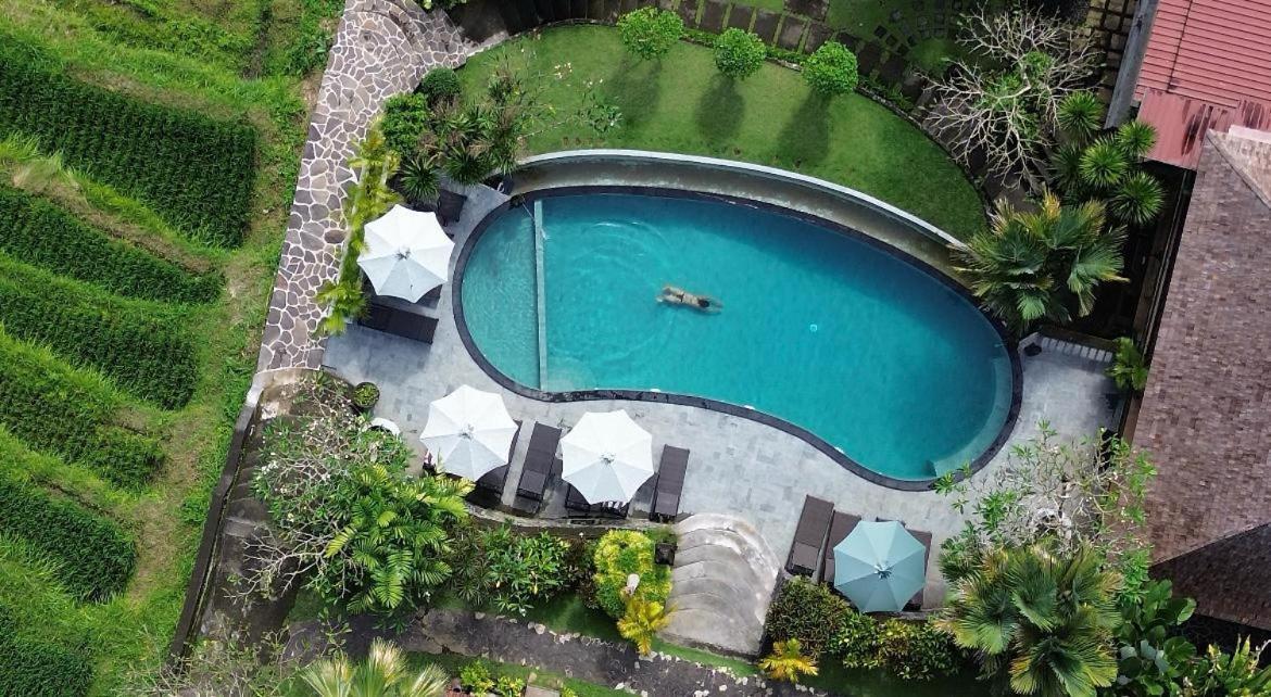 Abian Ayu Guest house