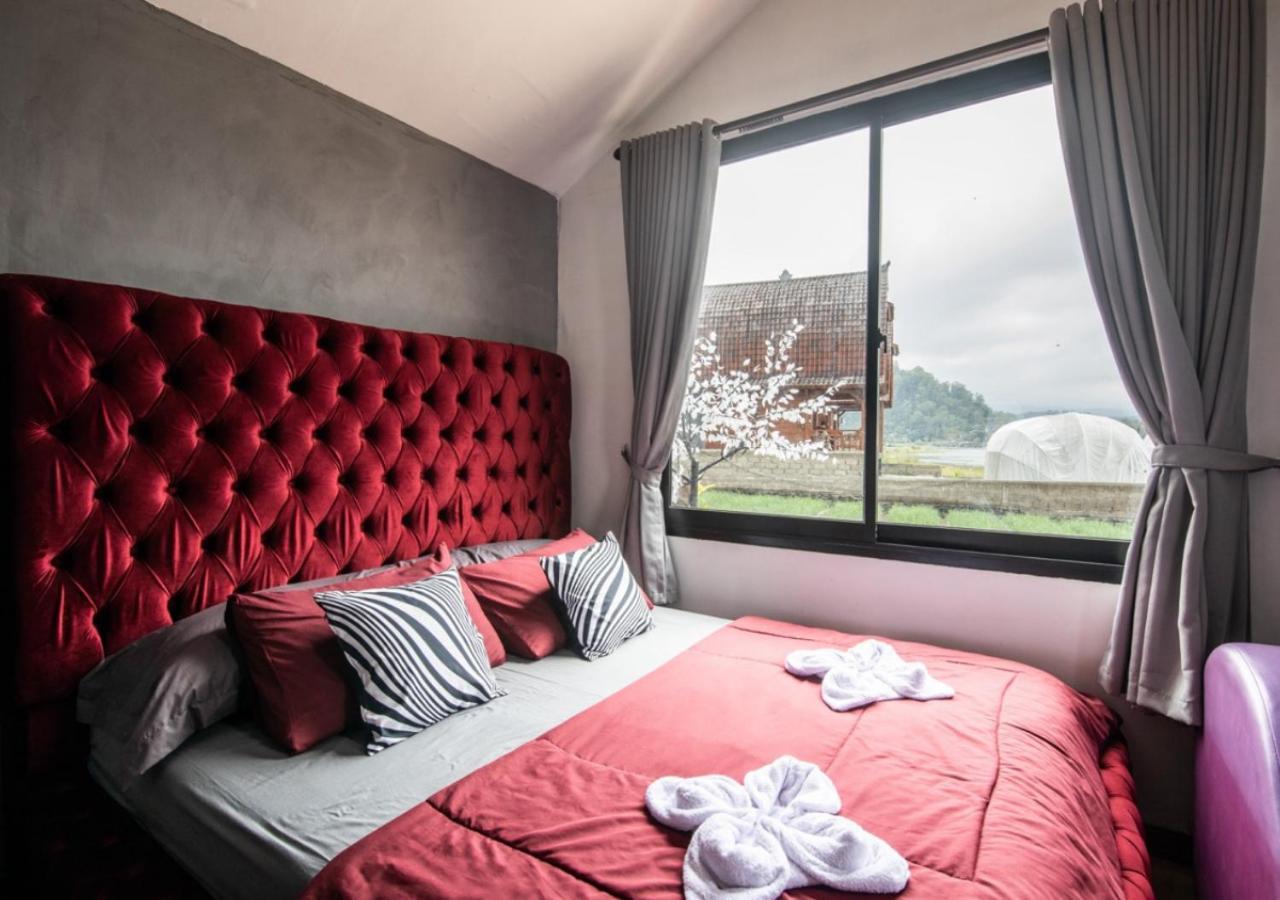 Yucabin Kintamani (adults Only)