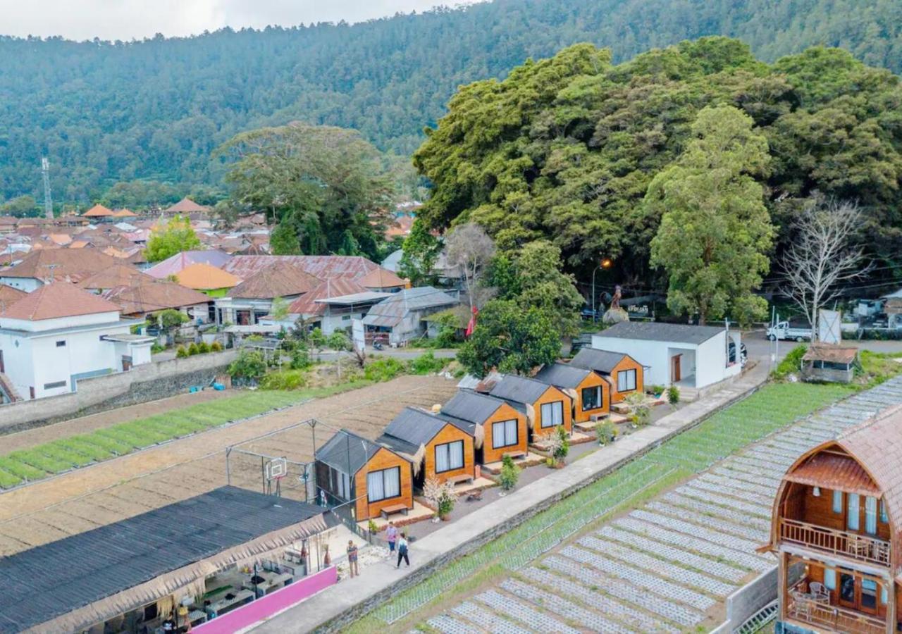 Yucabin Kintamani (adults Only) * Kubupenlokan