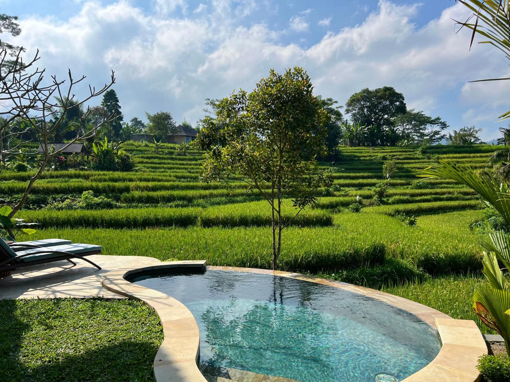 Guest house Abian Ayu