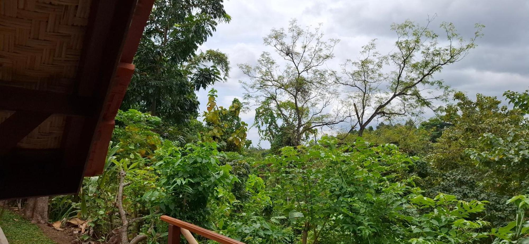 Uma Nirmala Aling-aling bahay-panuluyan Singaraja (Bali)