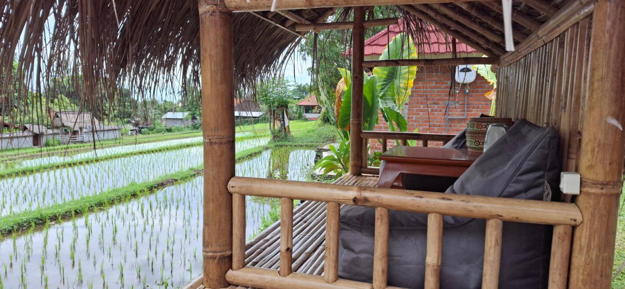 bahay-panuluyan Uma Nirmala Aling-aling Singaraja (Bali)