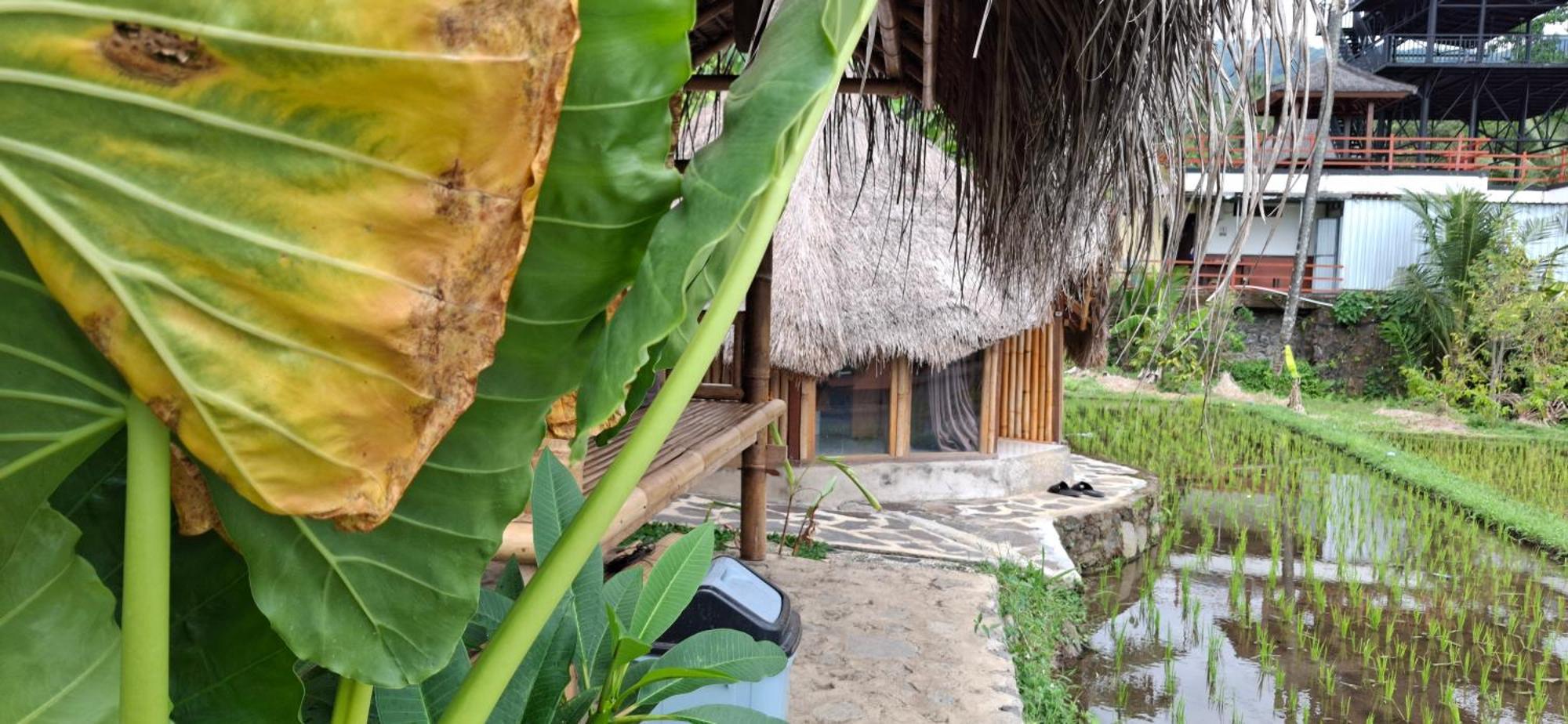 Uma Nirmala Aling-aling bahay-panuluyan