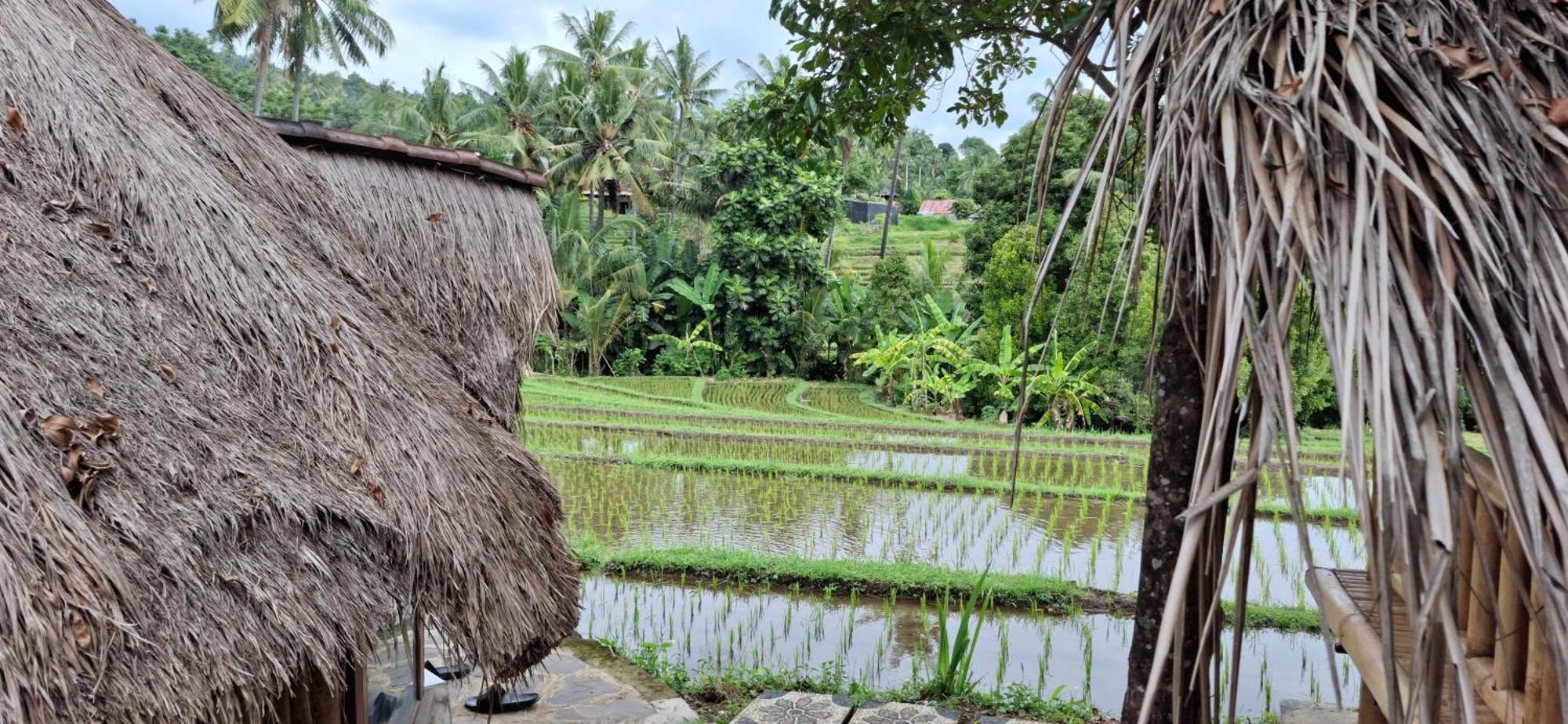 Uma Nirmala Aling-aling bahay-panuluyan Singaraja (Bali)