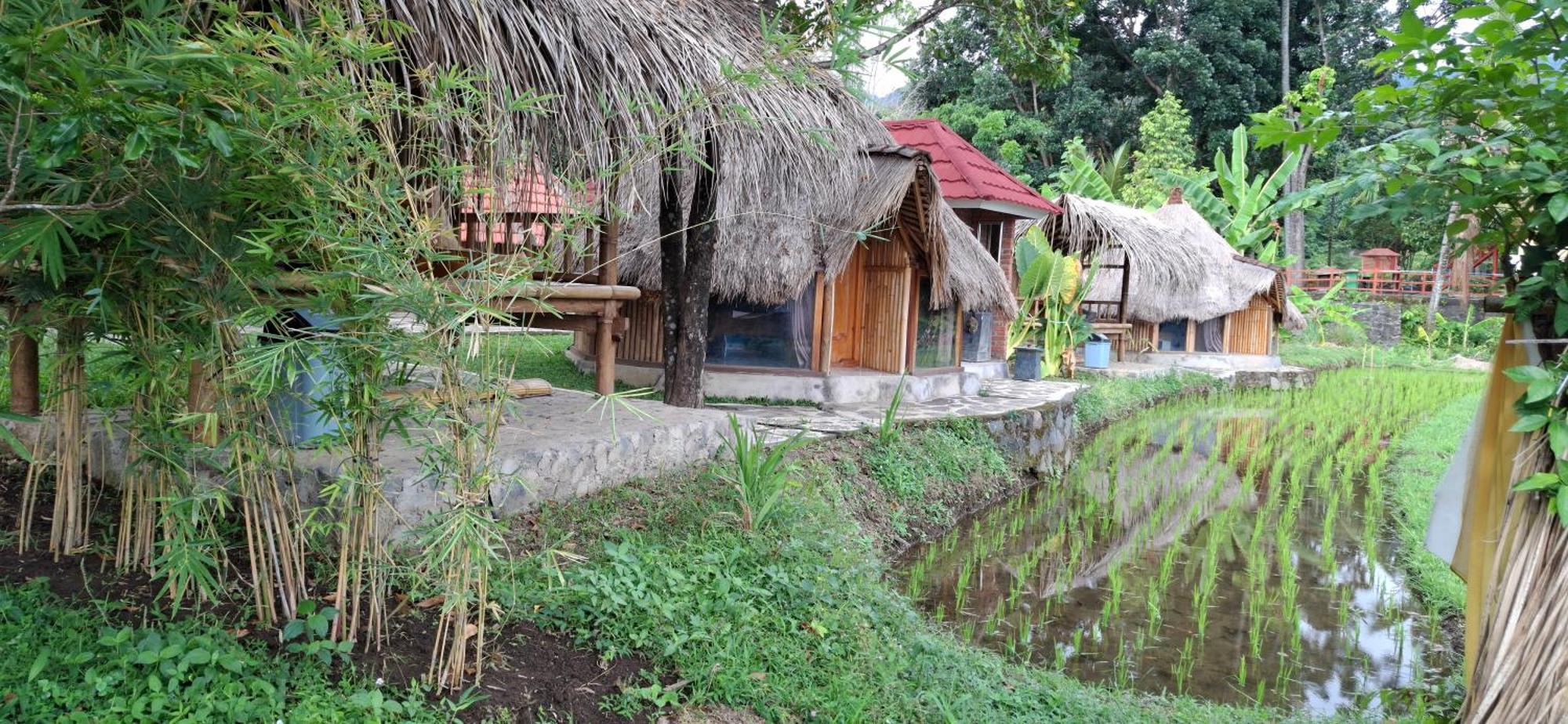 Uma Nirmala Aling-aling * Singaraja (Bali)