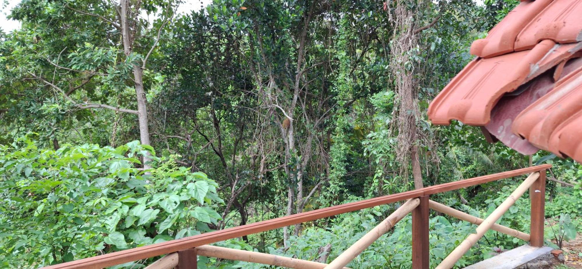 Uma Nirmala Aling-aling Singaraja (Bali)