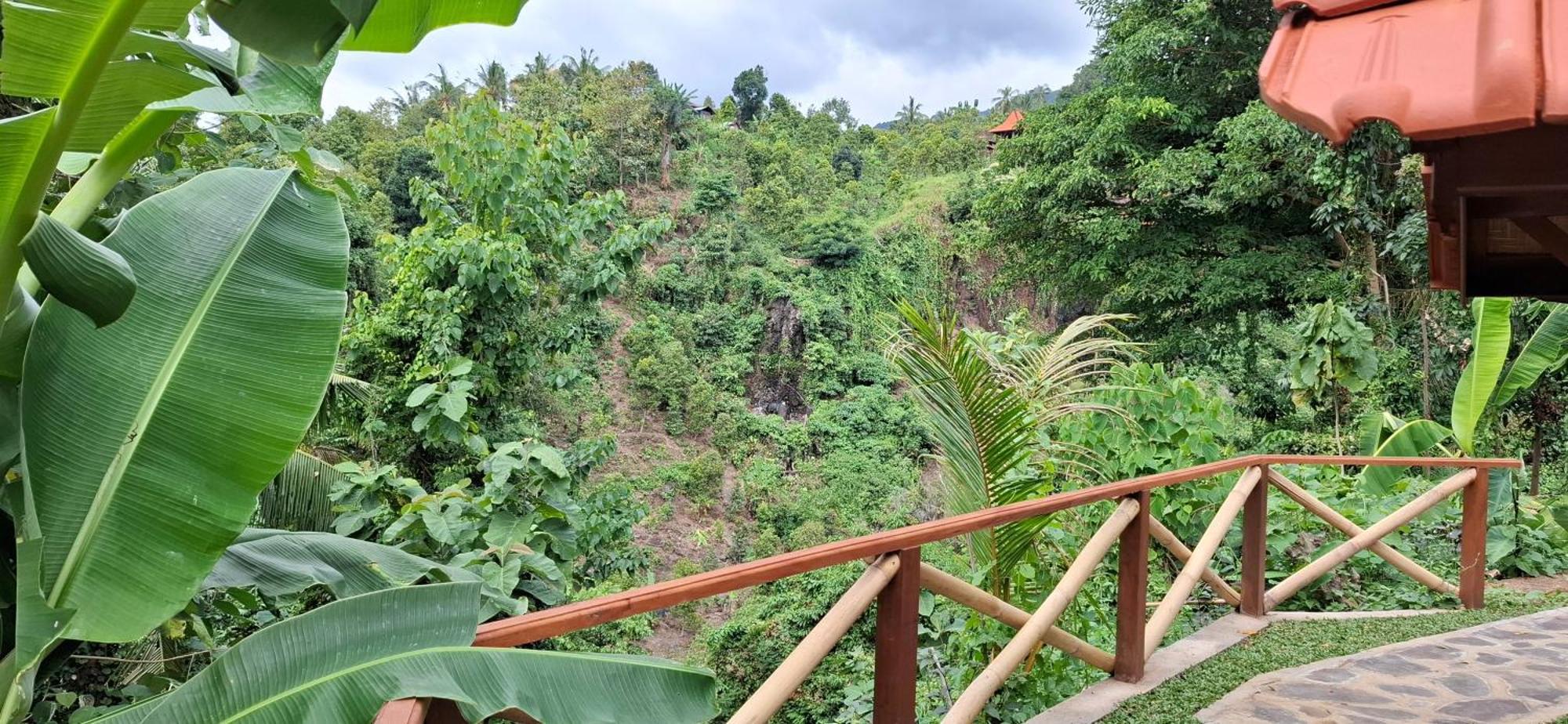 Uma Nirmala Aling-aling