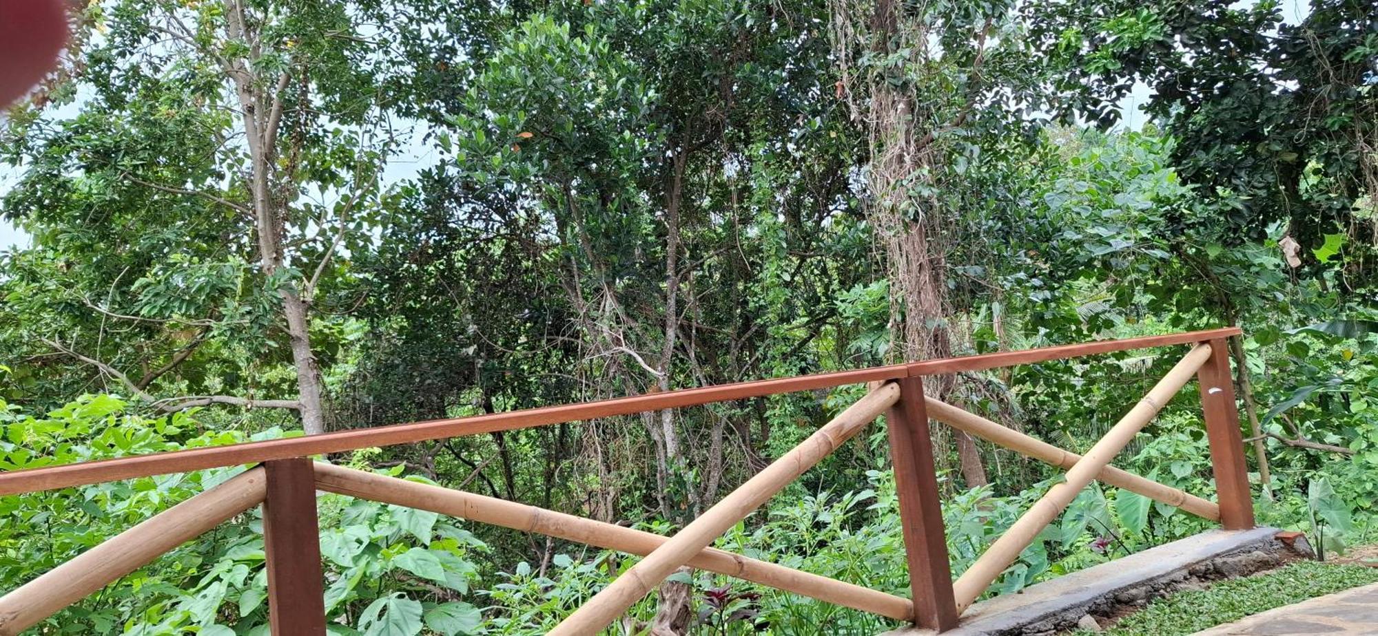 bahay-panuluyan Uma Nirmala Aling-aling Singaraja (Bali)