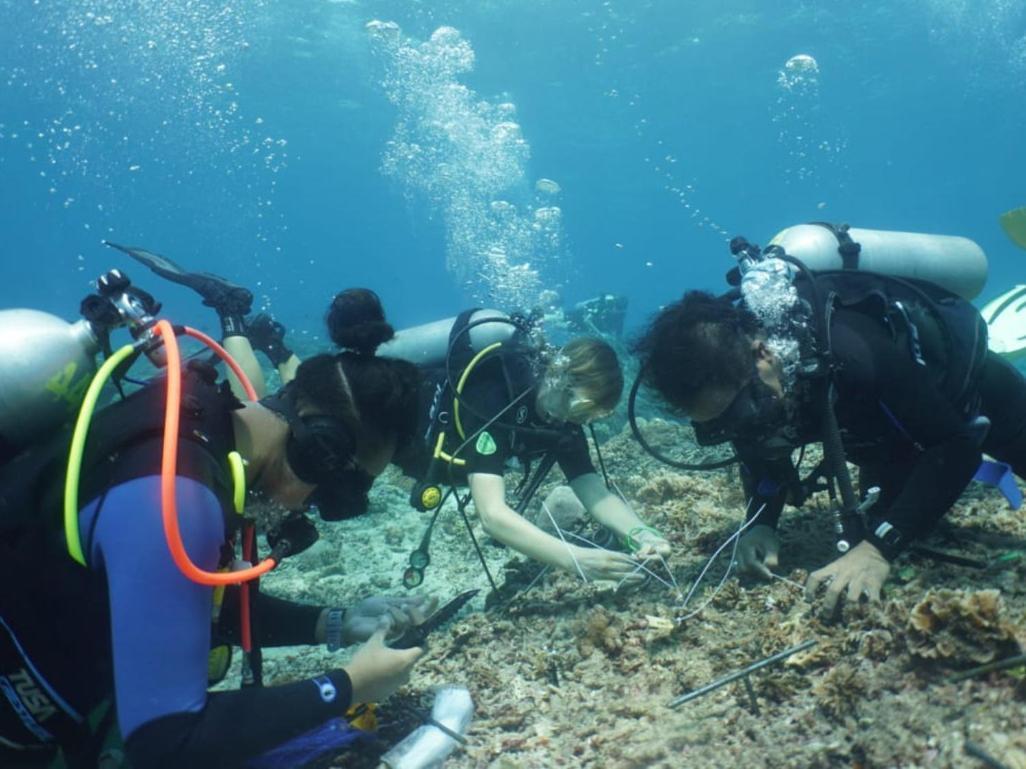 The Sagara Penida Nusa Penida