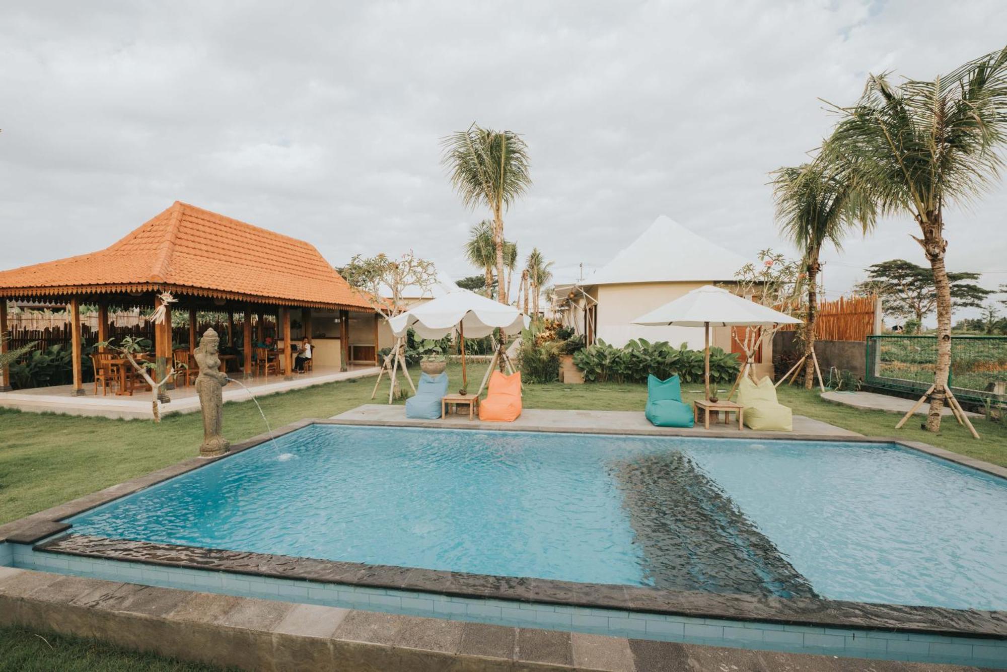 Tenda mewah Paddy's Glamping *