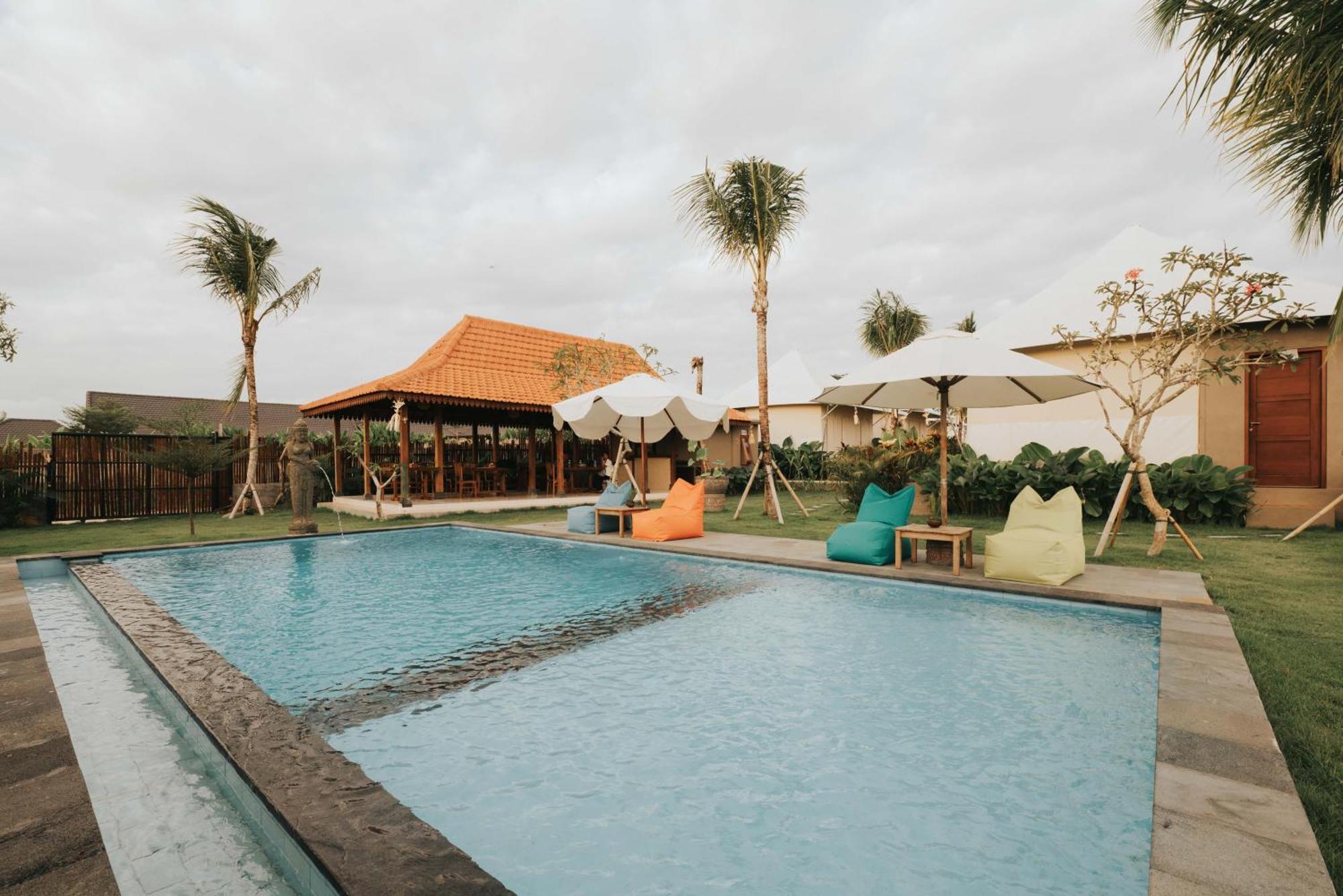 Tenda mewah Paddy's Glamping *