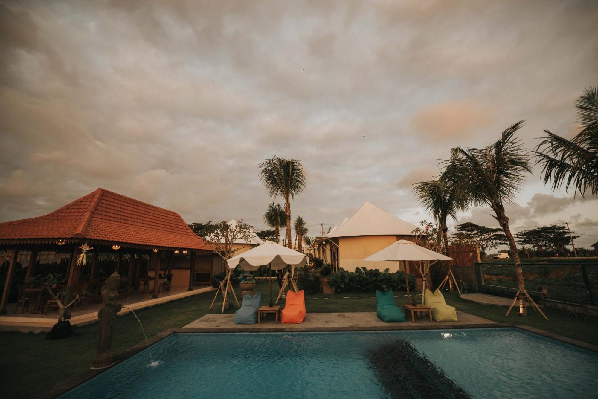 Tenda mewah Paddy's Glamping *