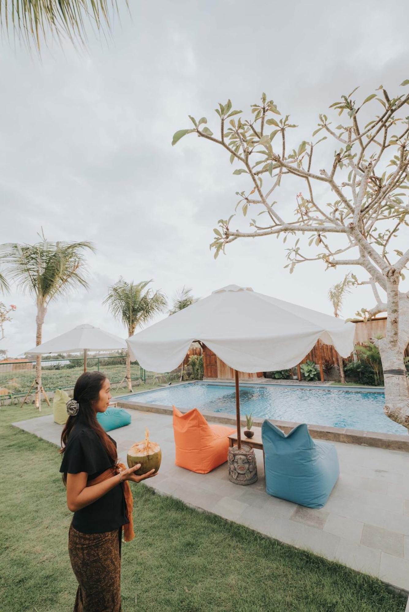 Tenda mewah Paddy's Glamping *
