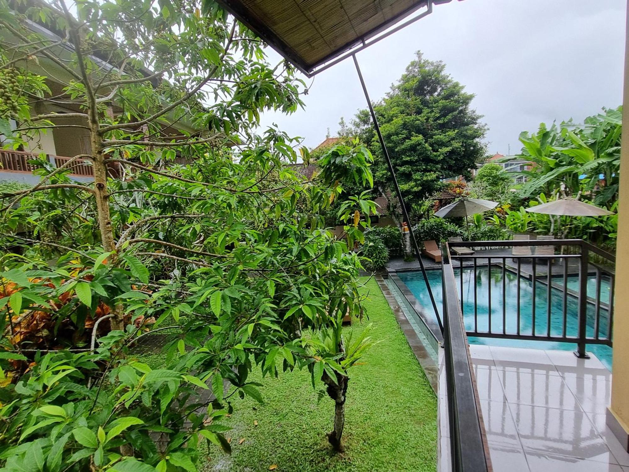 Nyoman Sandi Ubud (Bali)
