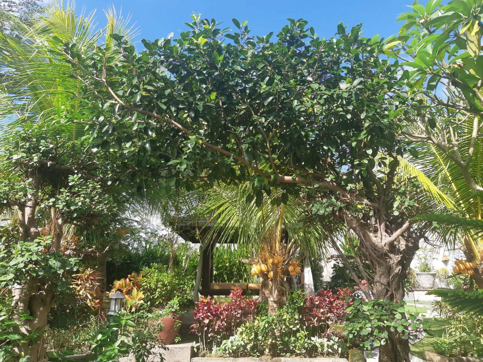 Villa Muaya *