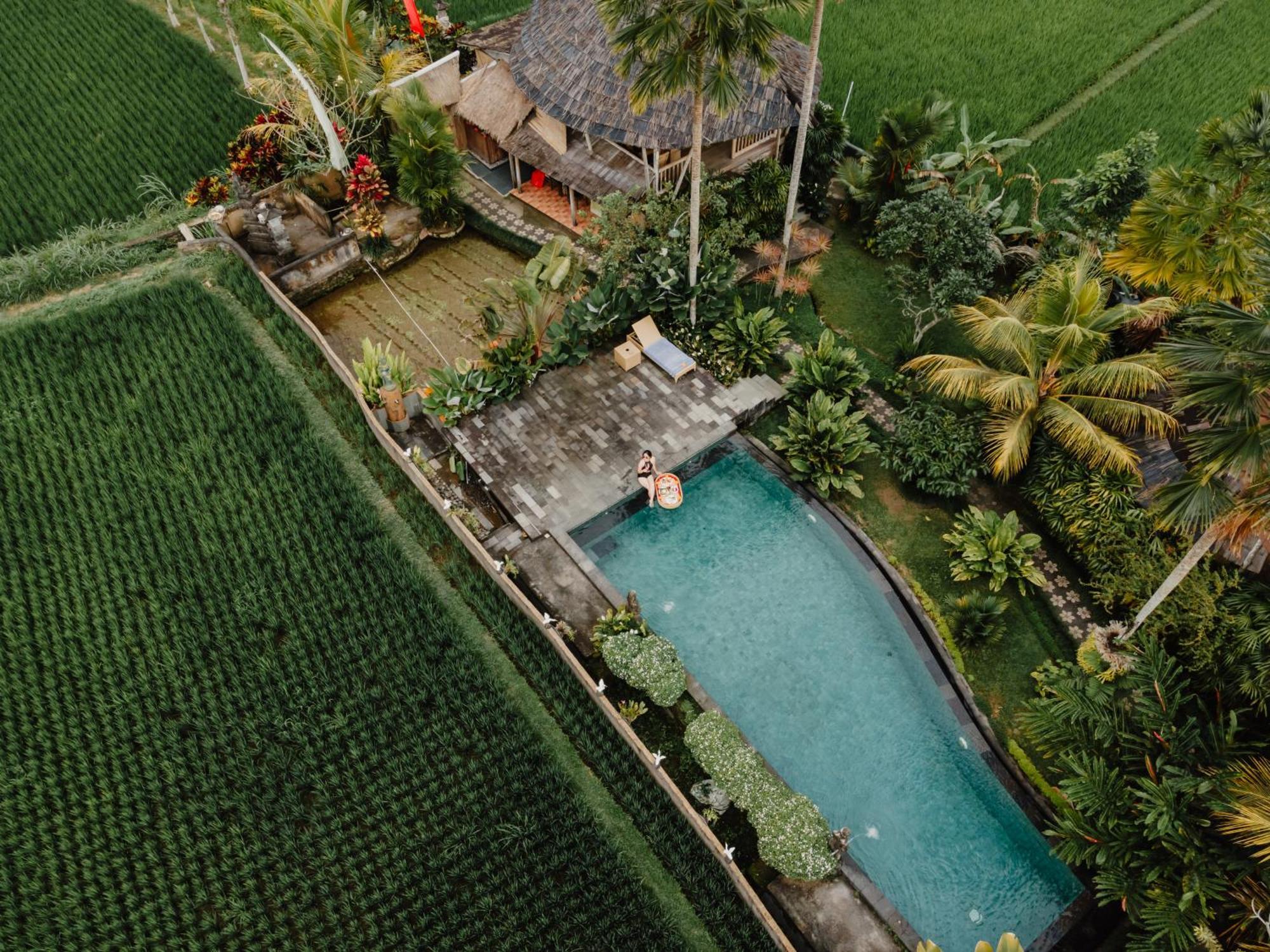 Padi Bali Eco Resor Payangan
