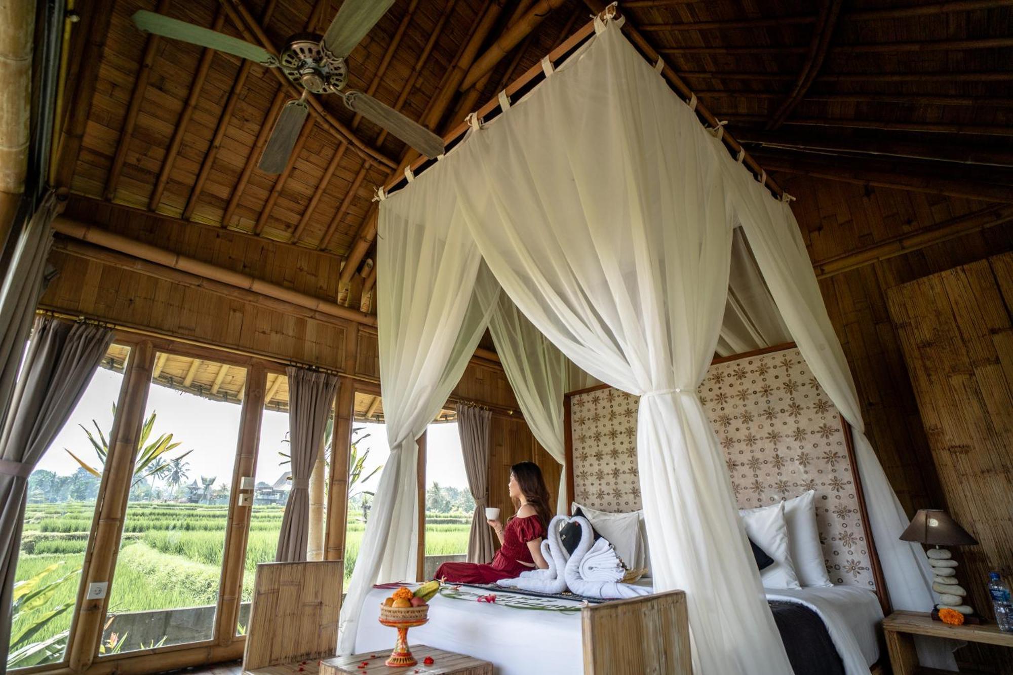 Resor Padi Bali Eco