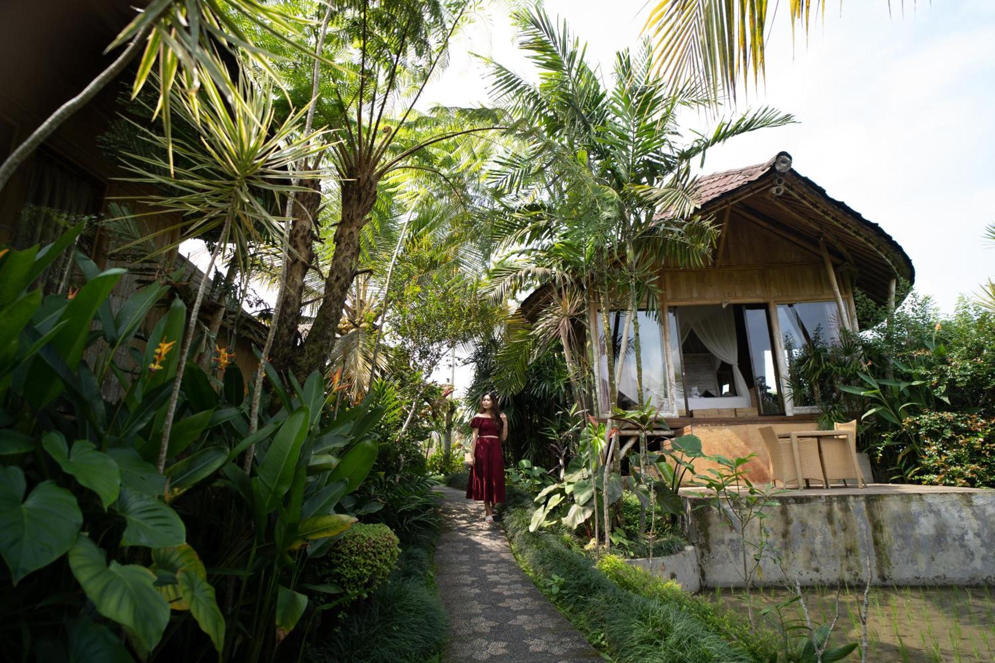 Padi Bali Eco Resor 3*