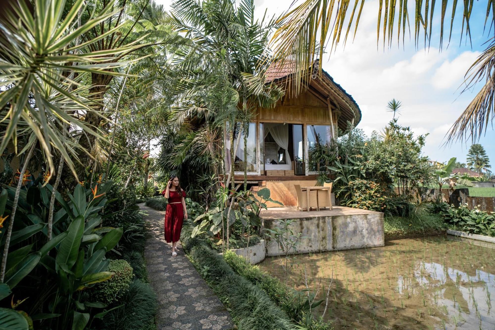 Resor Padi Bali Eco 3*