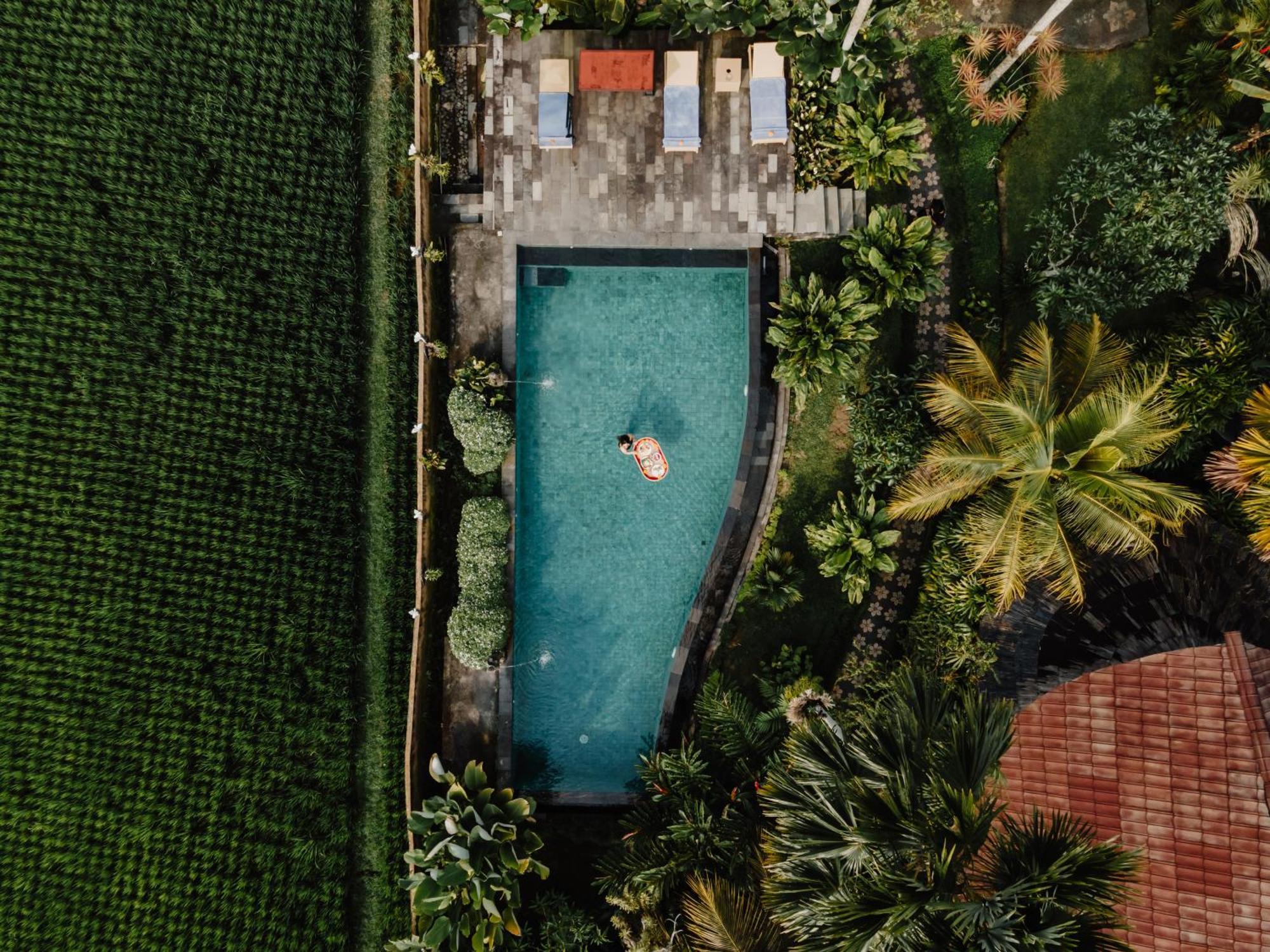 Padi Bali Eco Resor Payangan