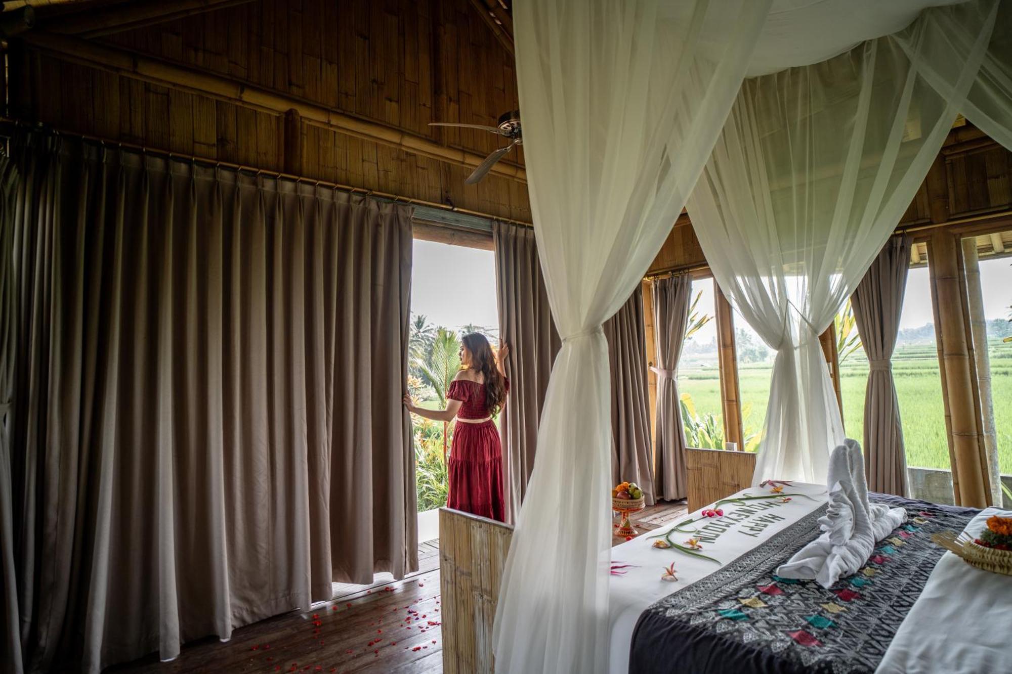 Resor Padi Bali Eco 3*