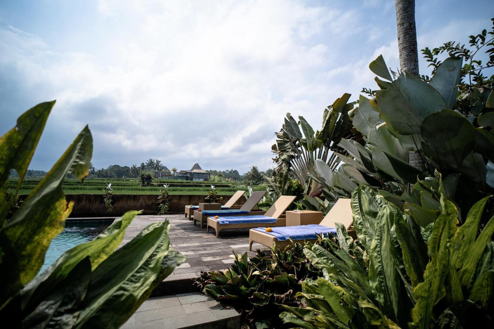 Padi Bali Eco 3* Payangan