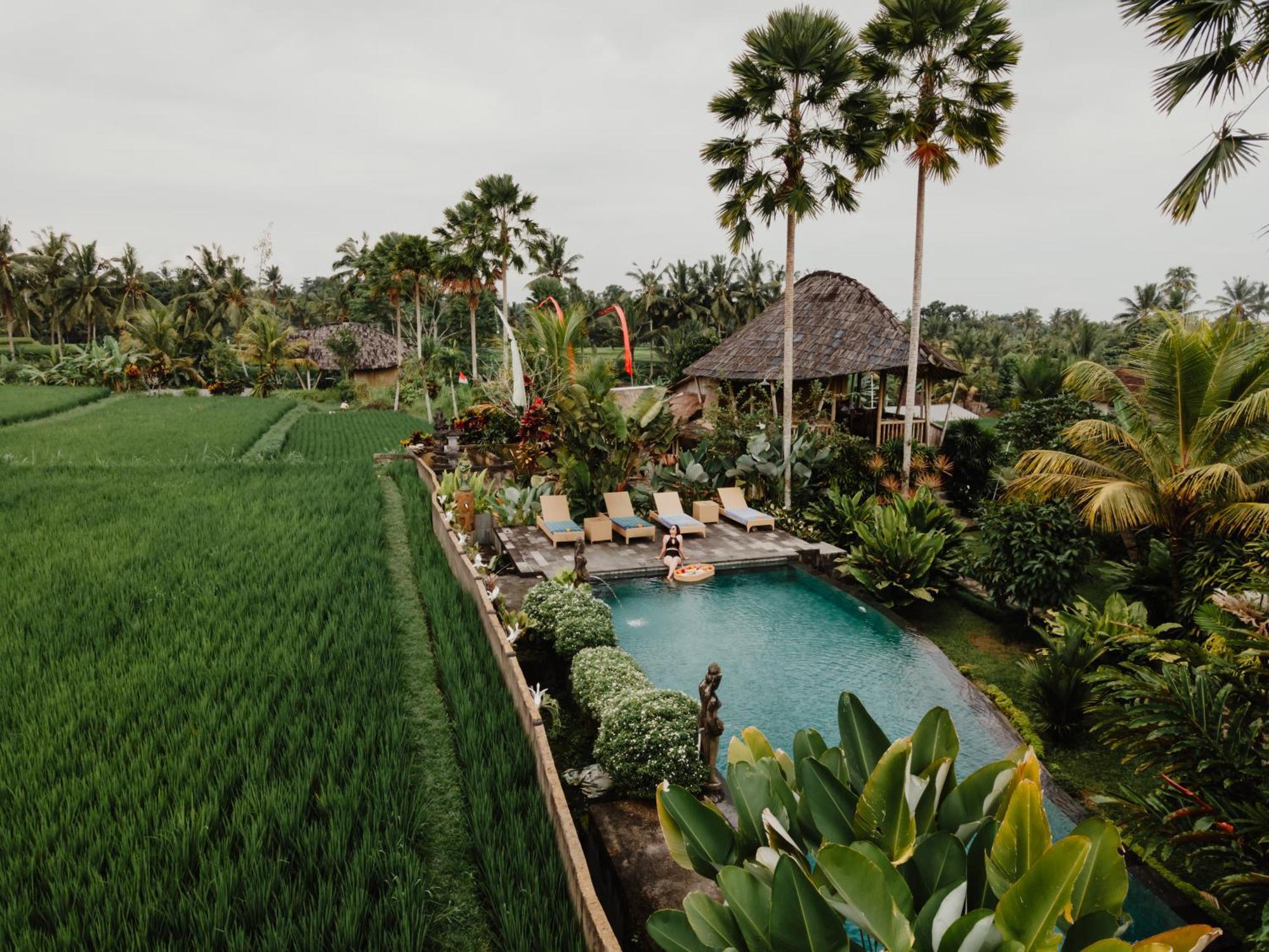 Padi Bali Eco Resor Payangan