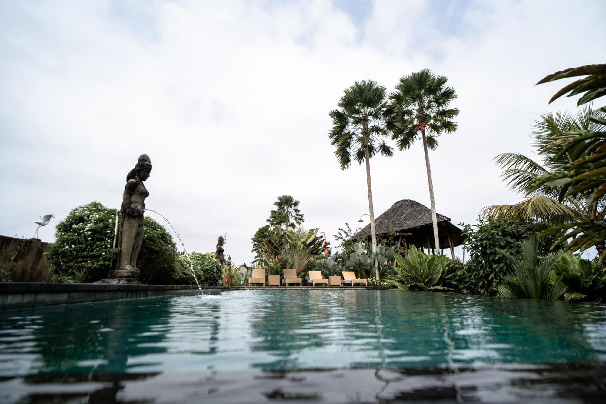 Padi Bali Eco 3*