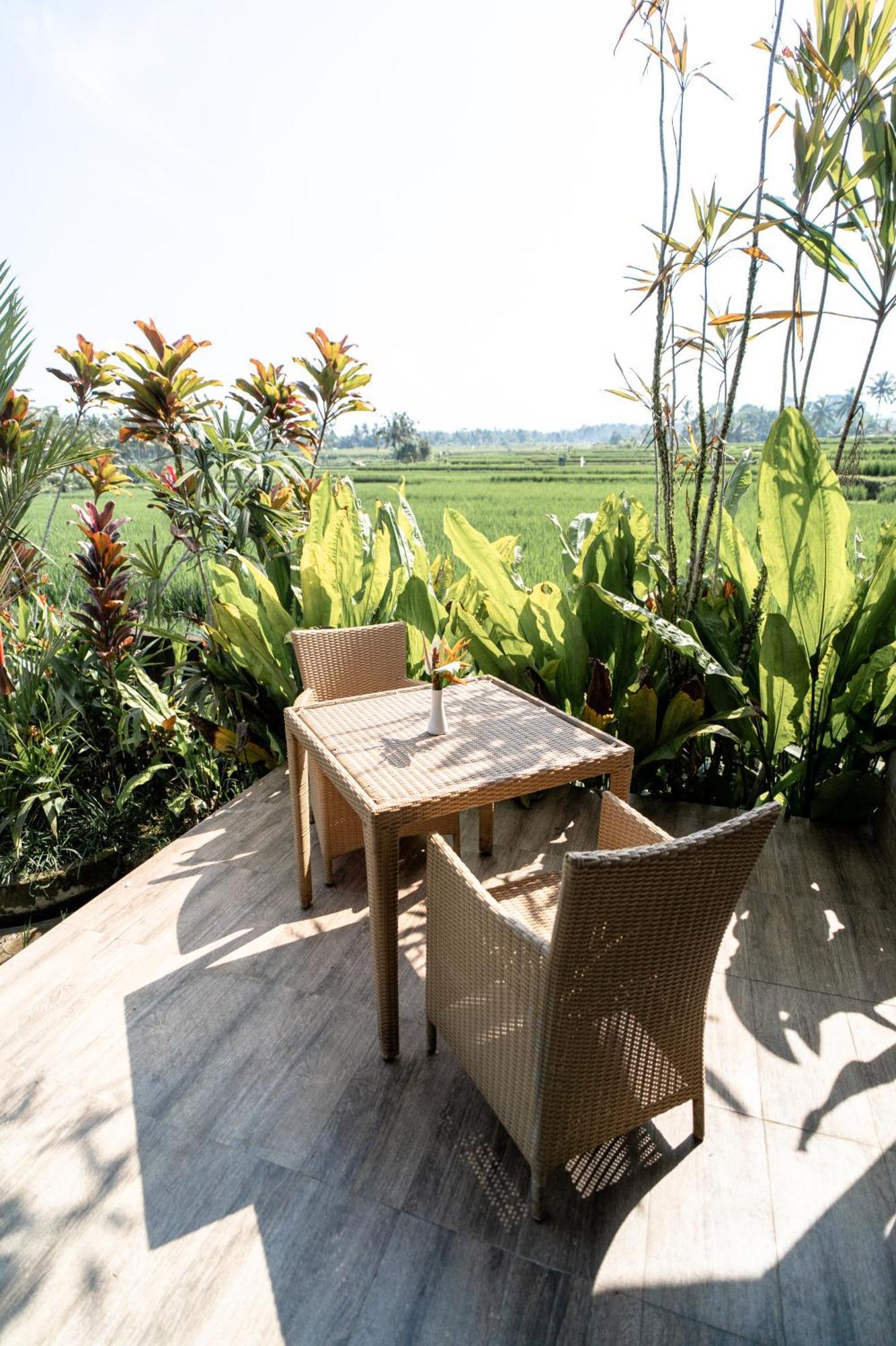 Resor Padi Bali Eco Payangan