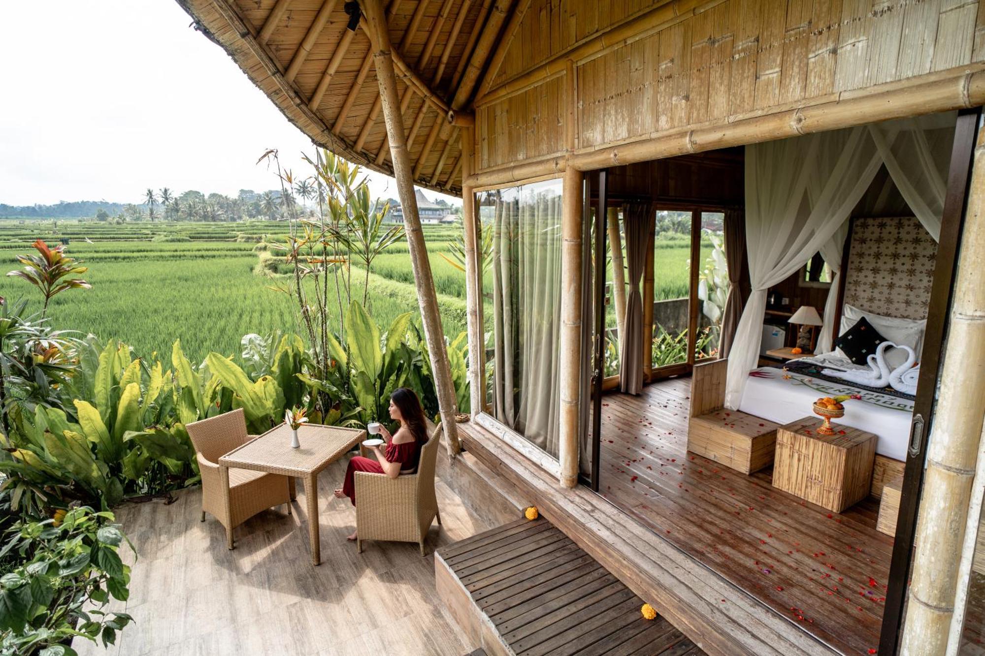 Padi Bali Eco