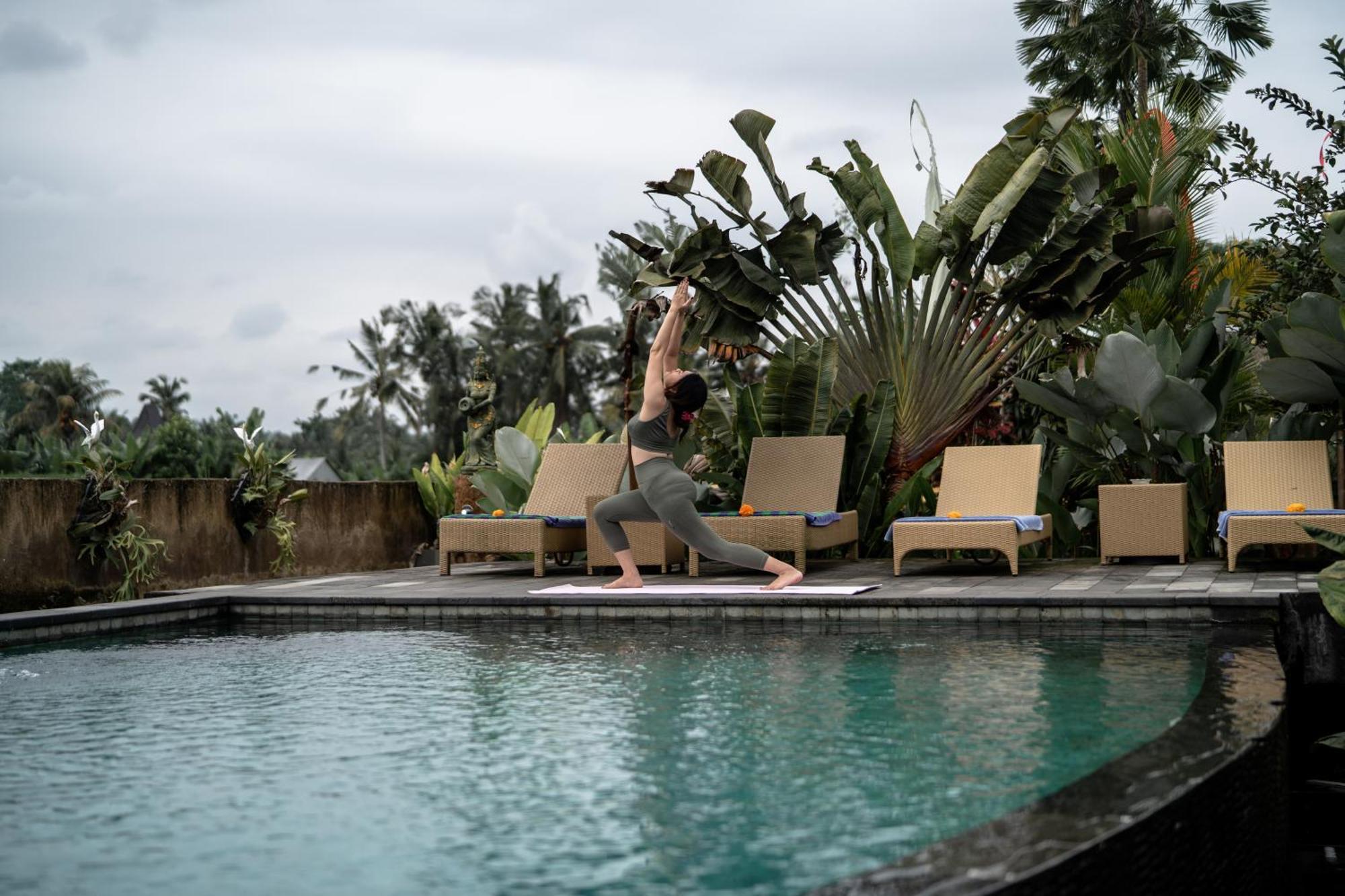 Resor Padi Bali Eco 3*