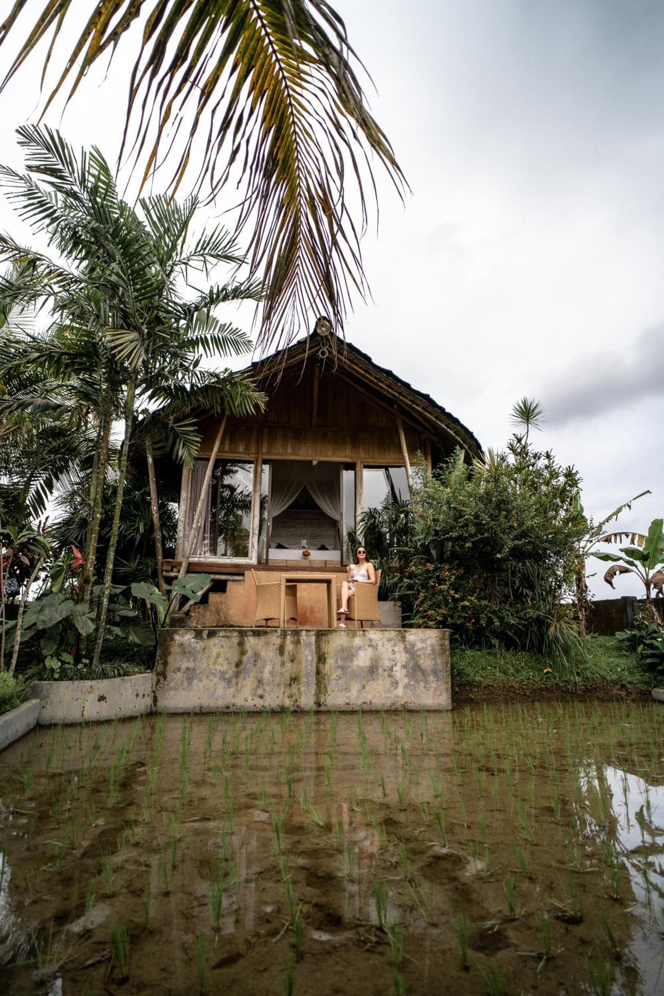 Padi Bali Eco