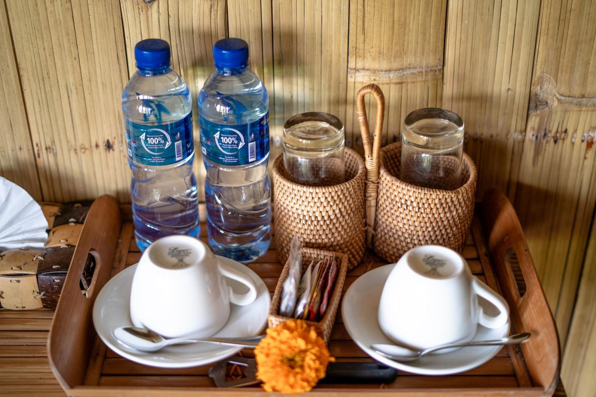 Padi Bali Eco Resor 3*