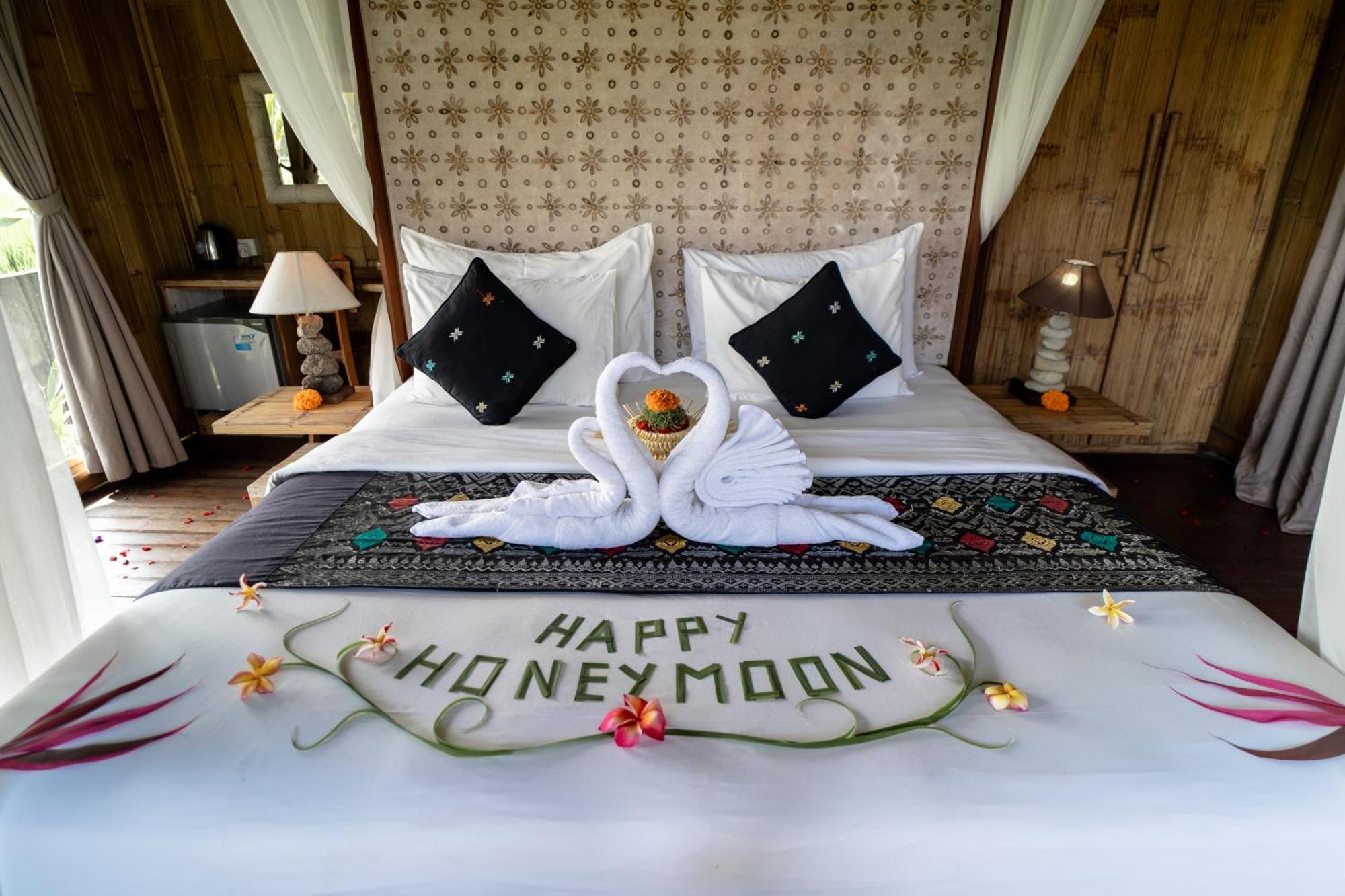 Resor Padi Bali Eco 3*