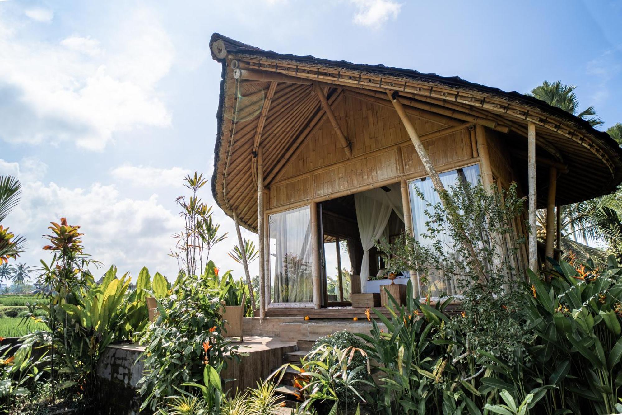 Padi Bali Eco 3* Payangan