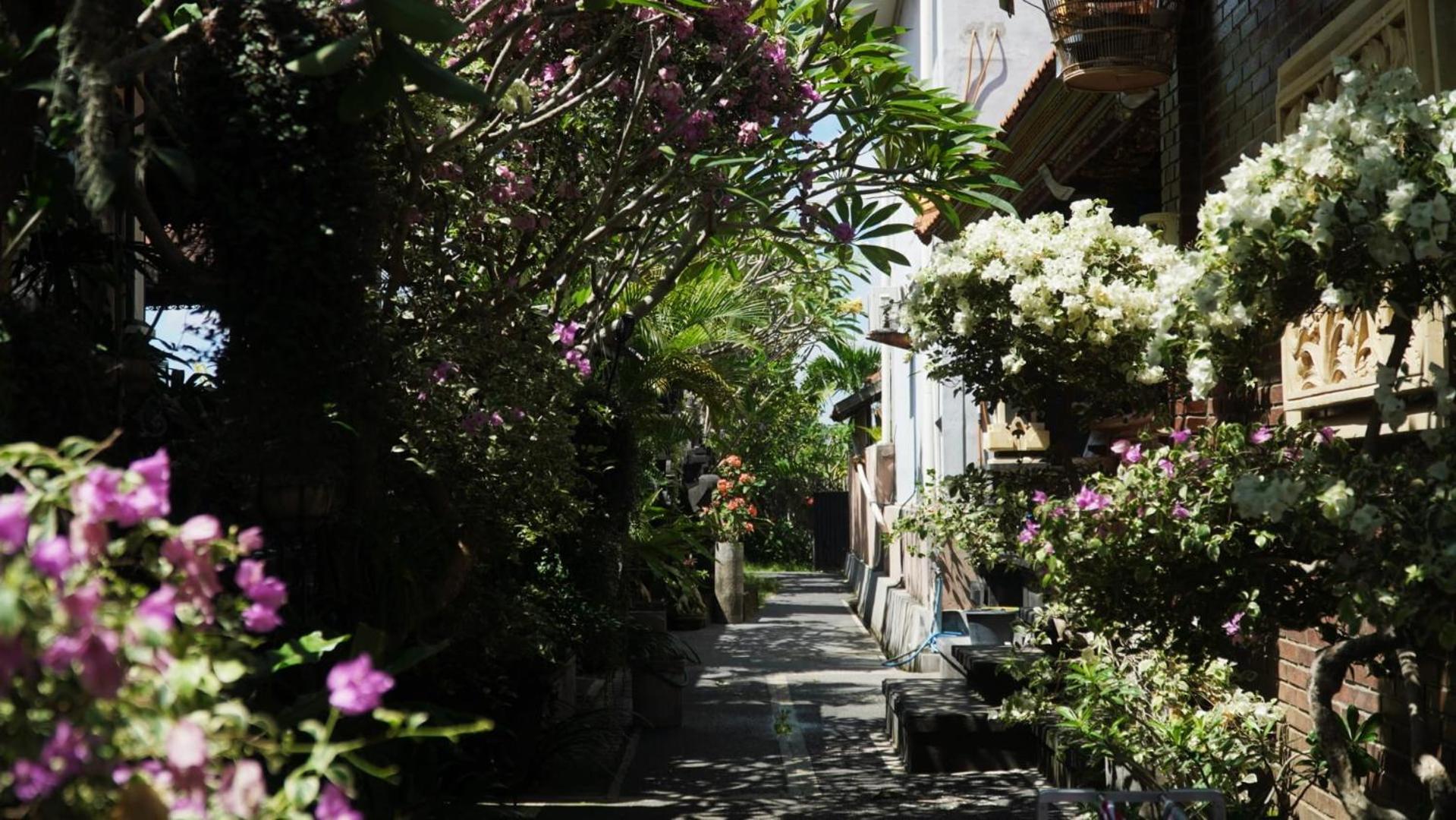 Leo Canggu (Bali)