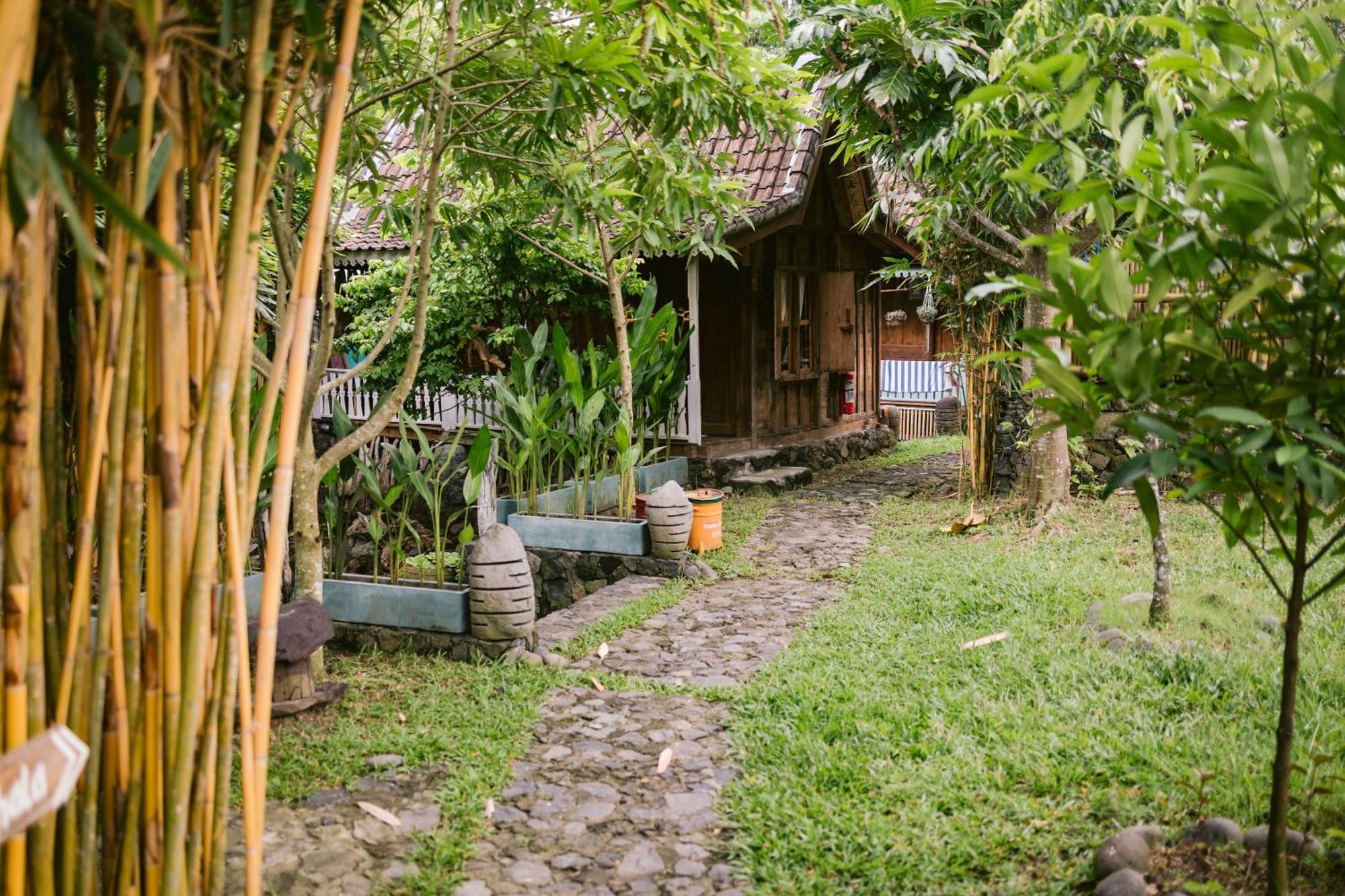 Bed & Breakfast Ubuntu Bali Eco Yoga Retreat -
