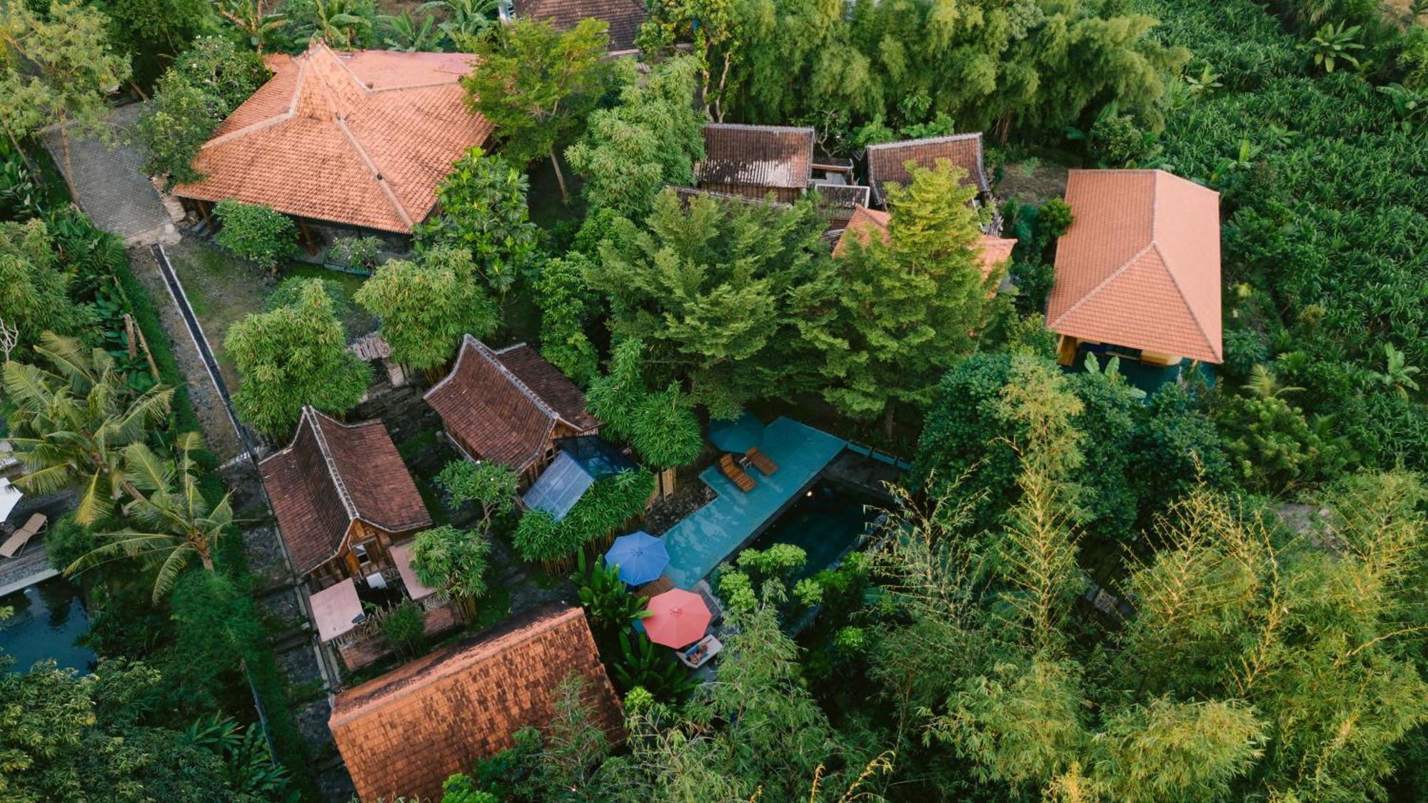 Ubuntu Bali Eco Yoga Retreat - Bed & Breakfast Canggu (Bali)