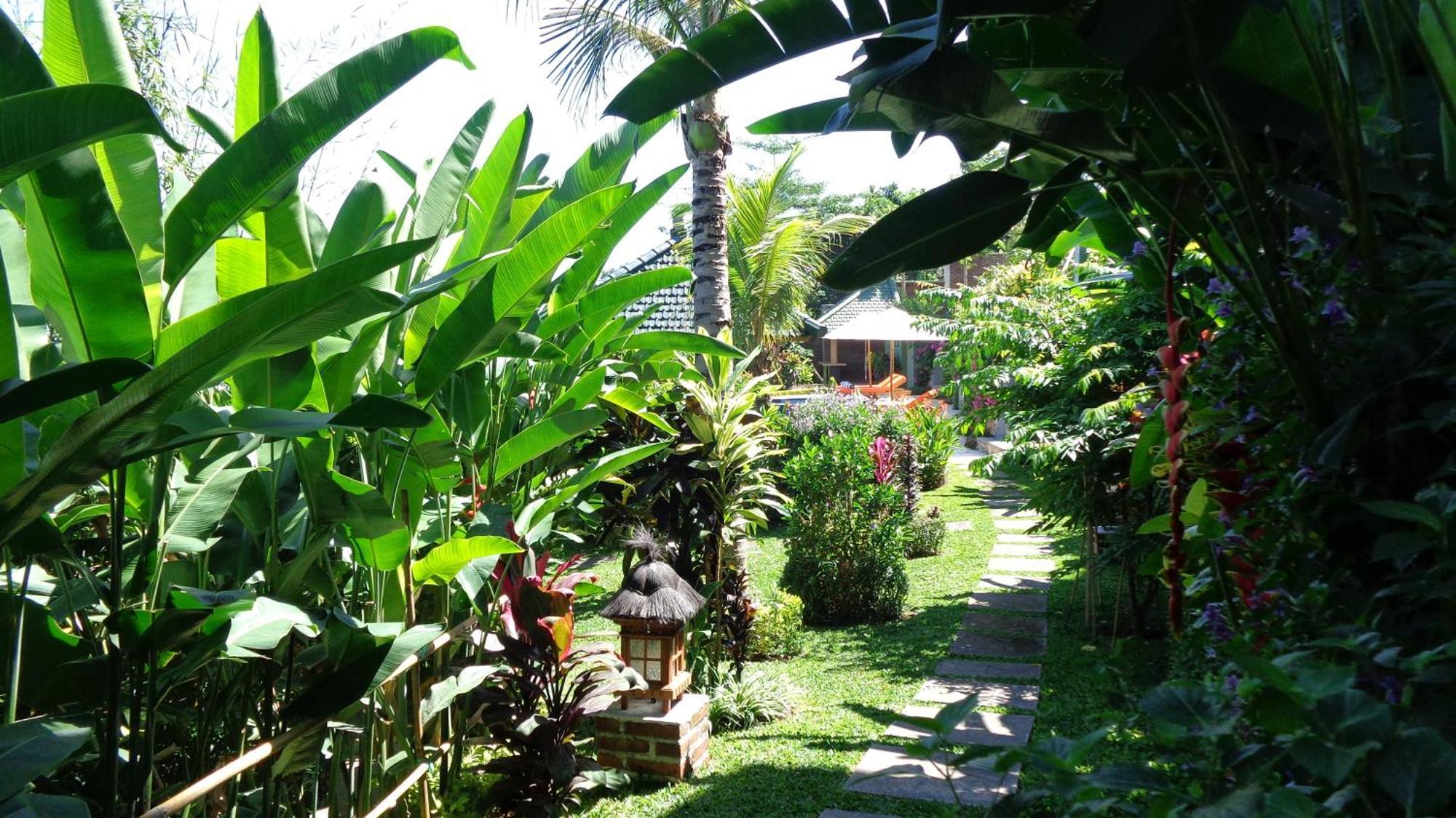 Le Tito Lovina (Bali)