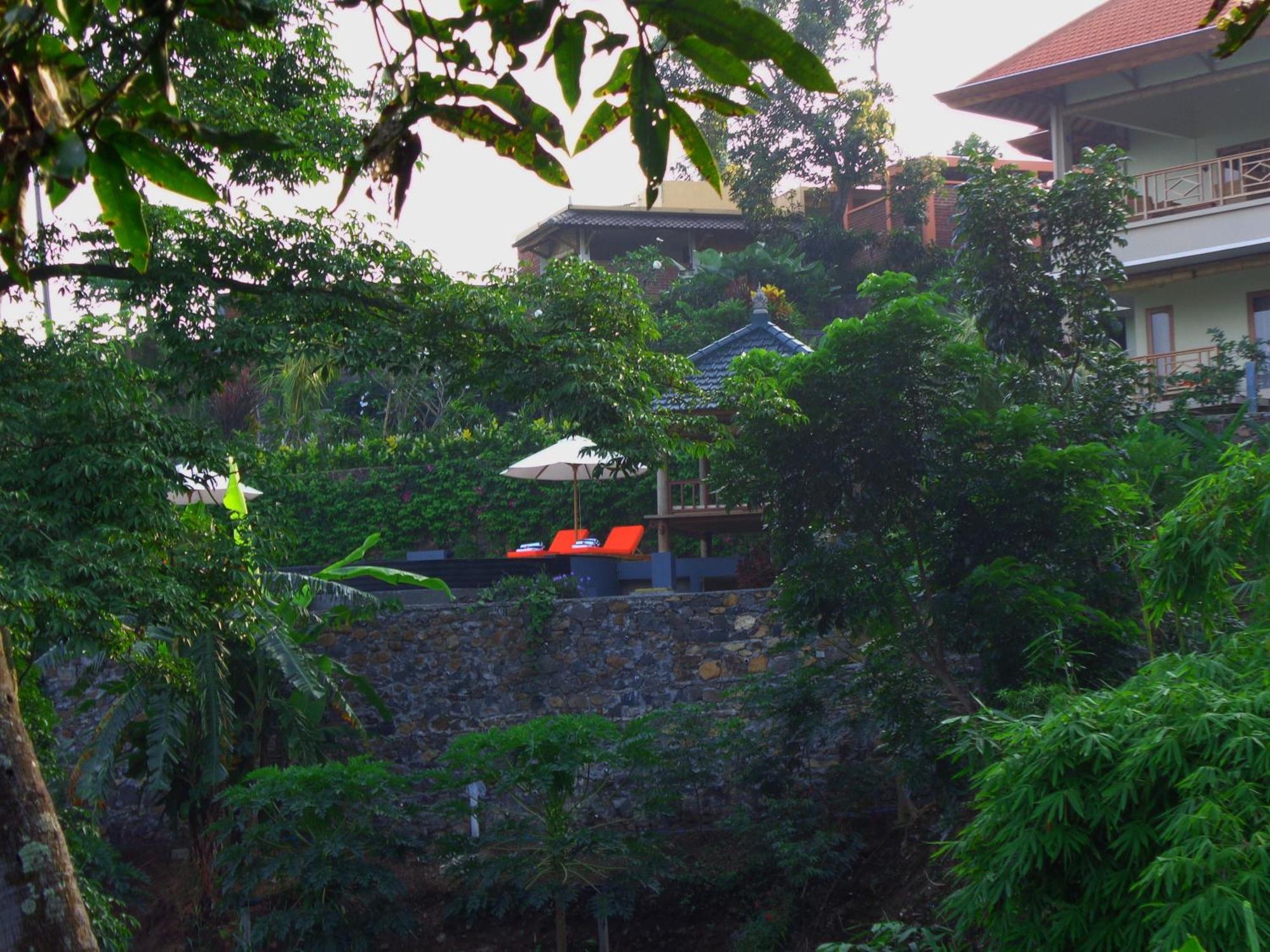 Le Tito * Lovina (Bali)
