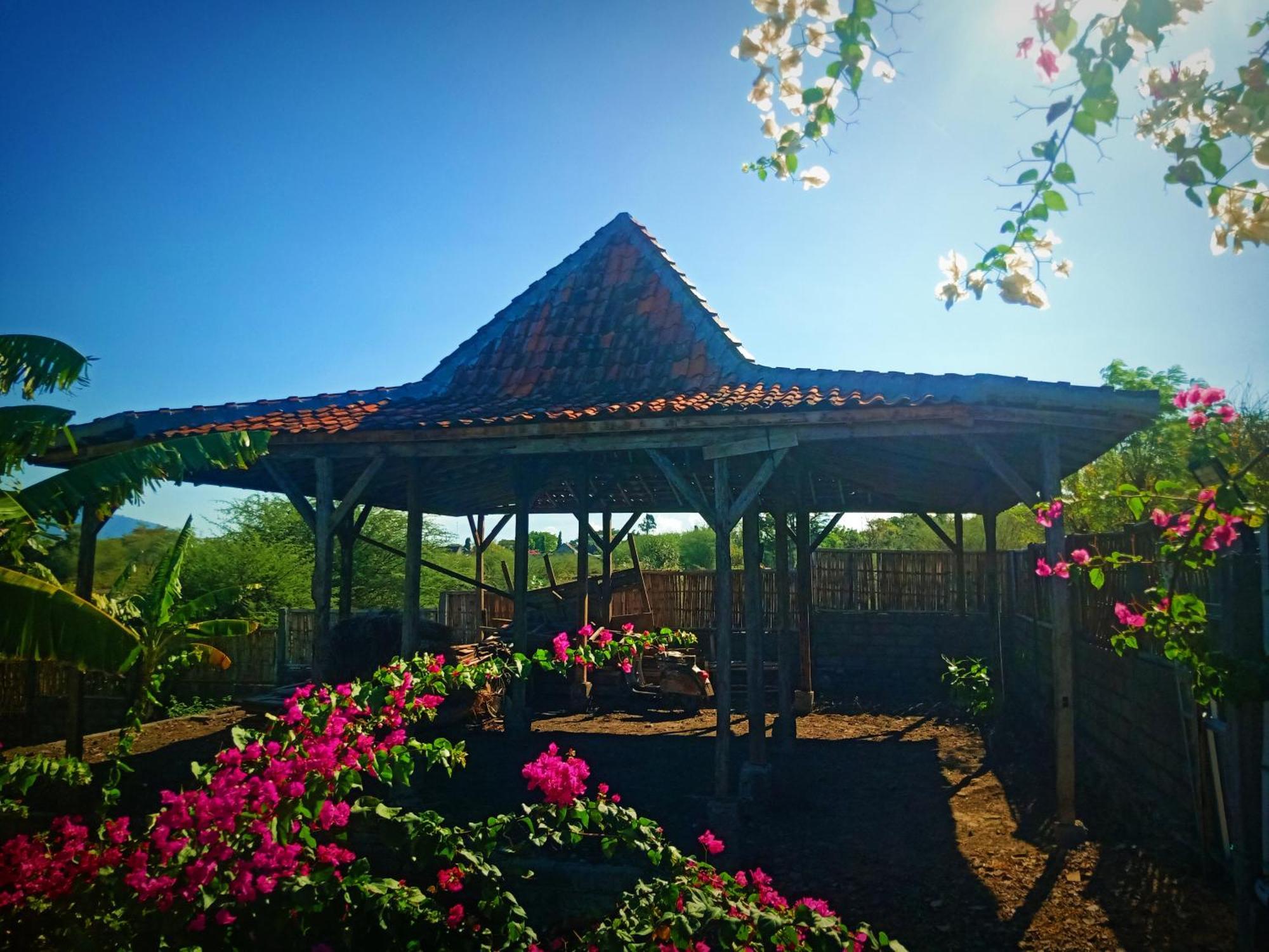 Umah Kayu 2-menjangan Guest house Banyuwedang