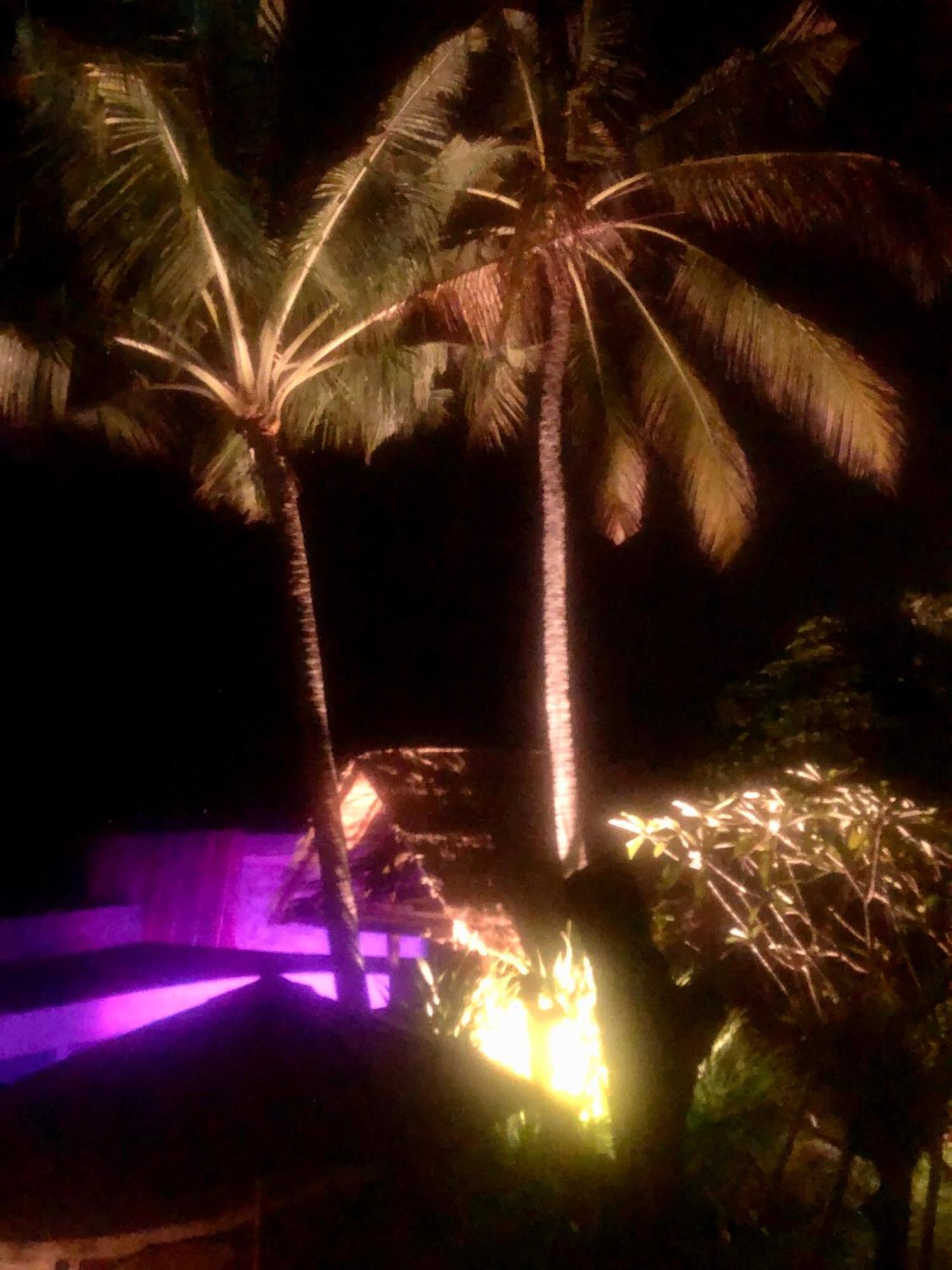Secret Moon House Jasri