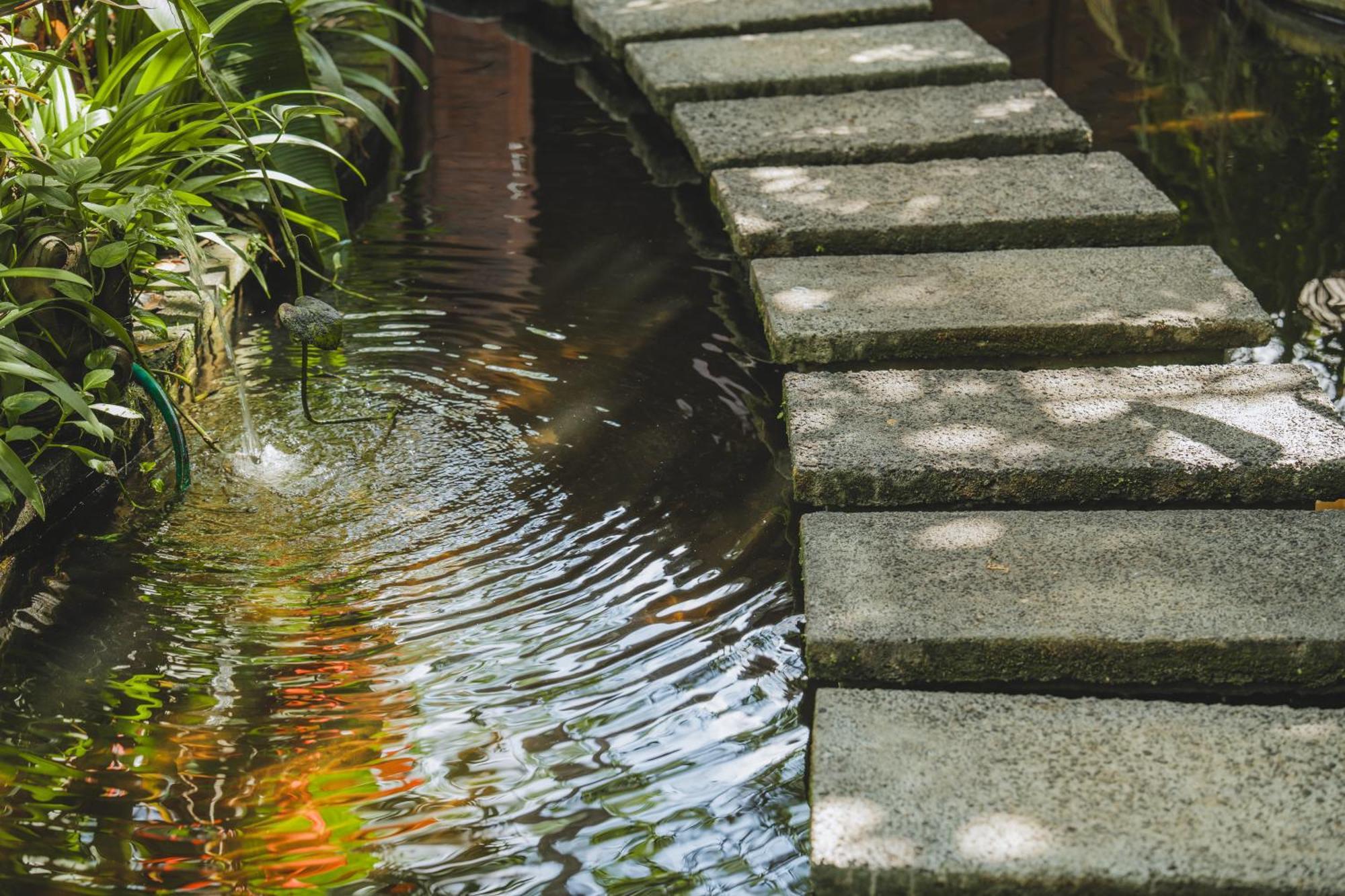 The Hidden Paradise - Chse Certified Ubud (Bali)