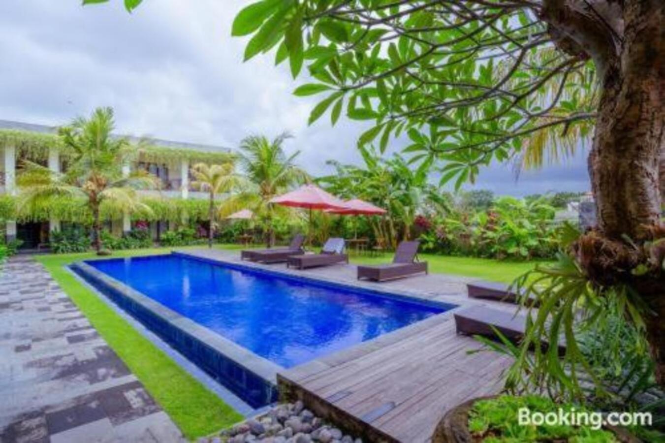 Puri Canggu Rooms ll Apartemen Canggu (Bali)