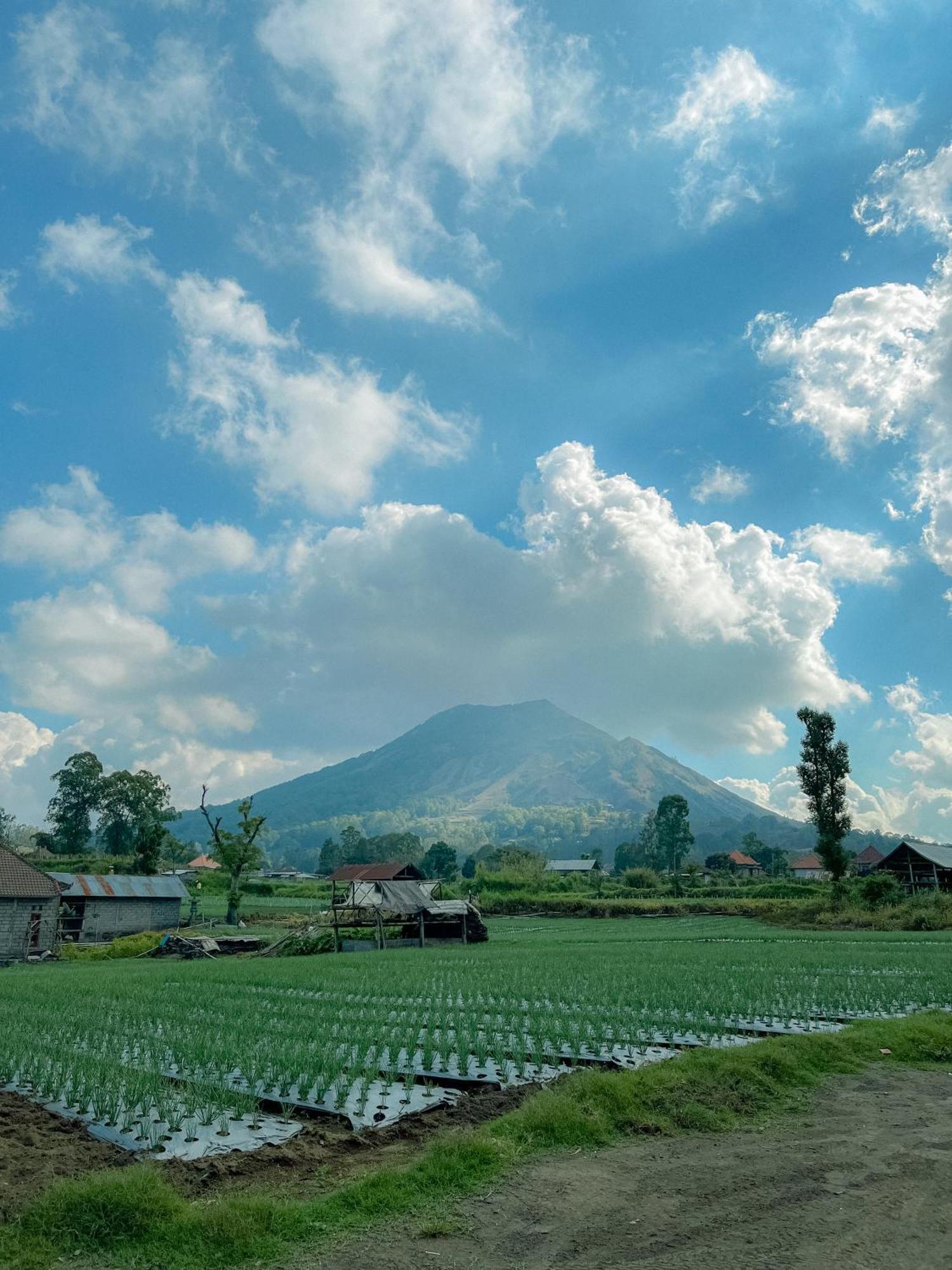Tempat Tidur & Sarapan Volcano Garden Kubupenlokan