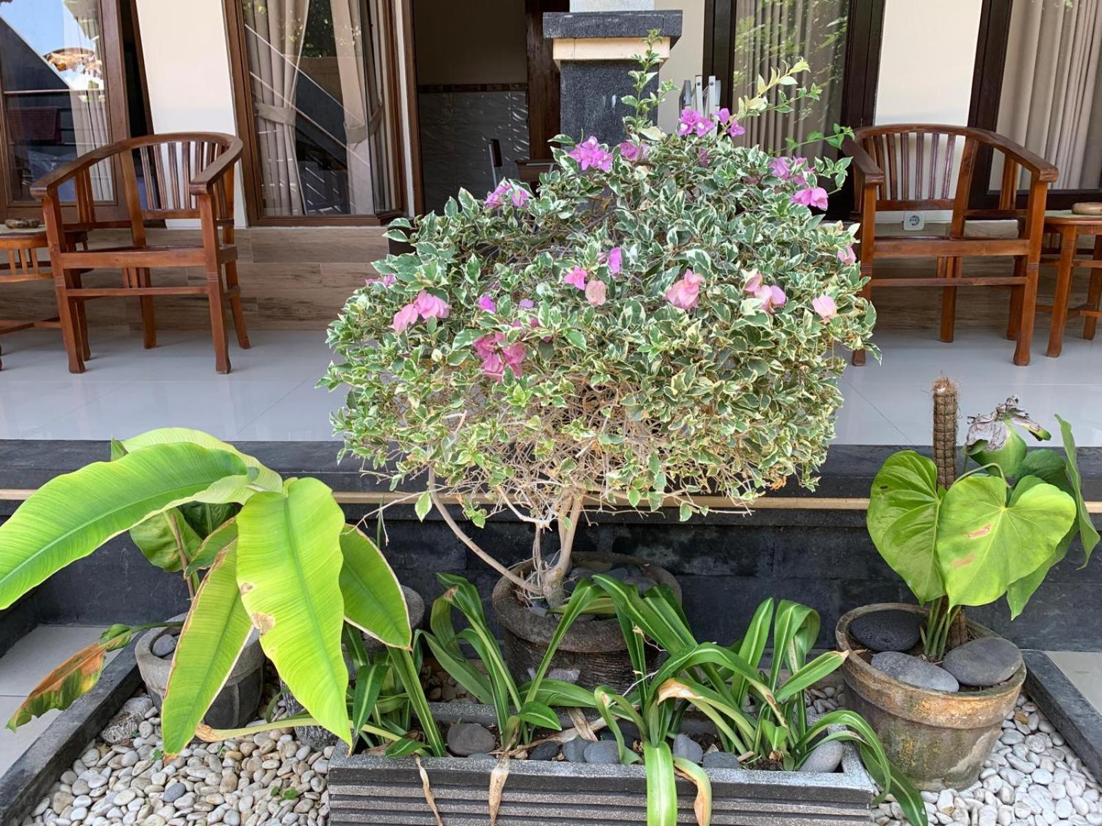 Guest house Jepun Padangbai (Bali)
