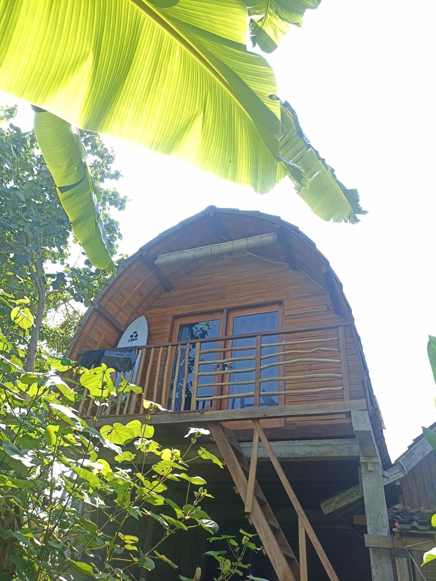 Ayolah Surf House &surf Camp Homestay