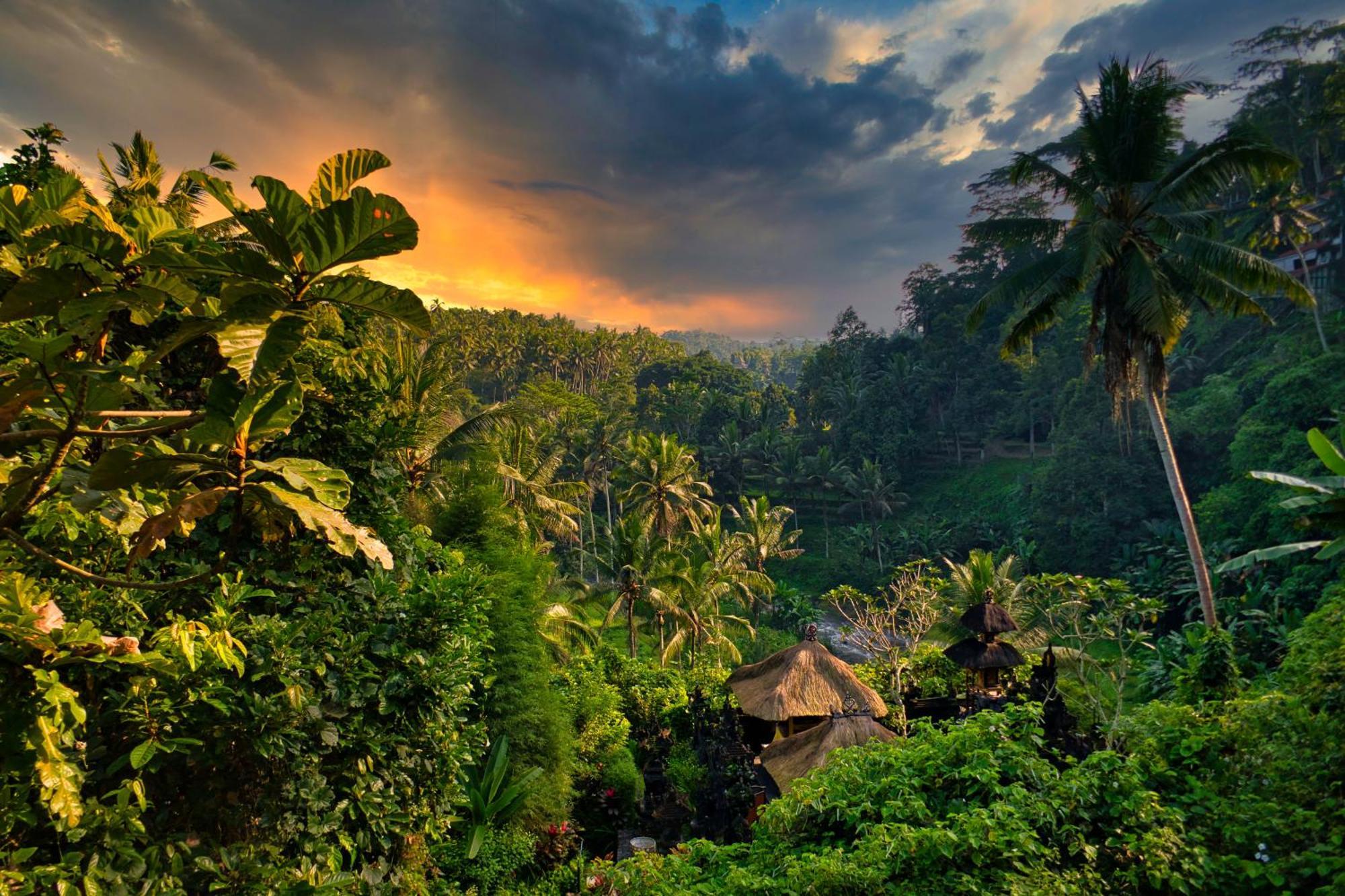 Heaven View 1 A * Ubud (Bali)